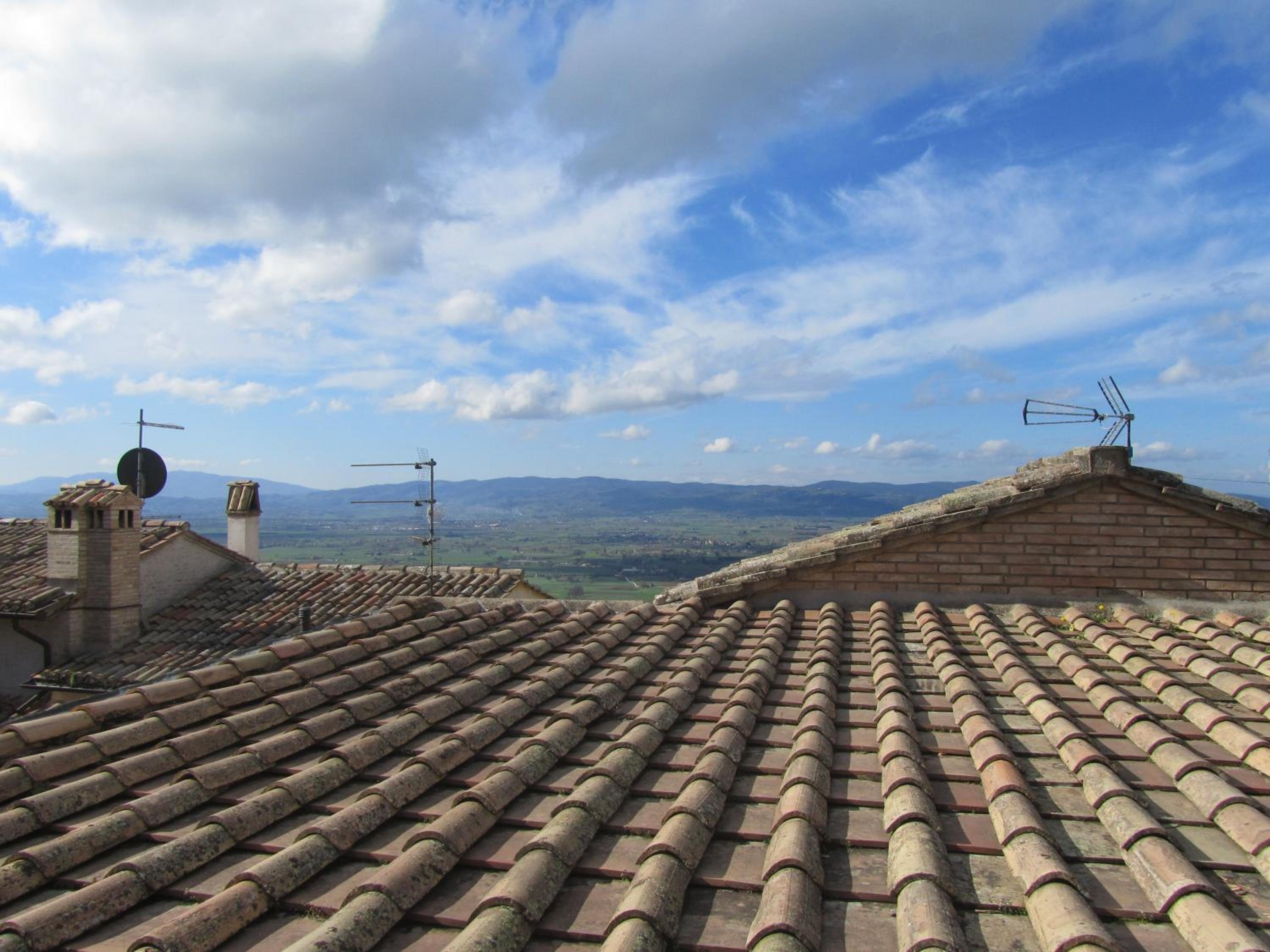 roof