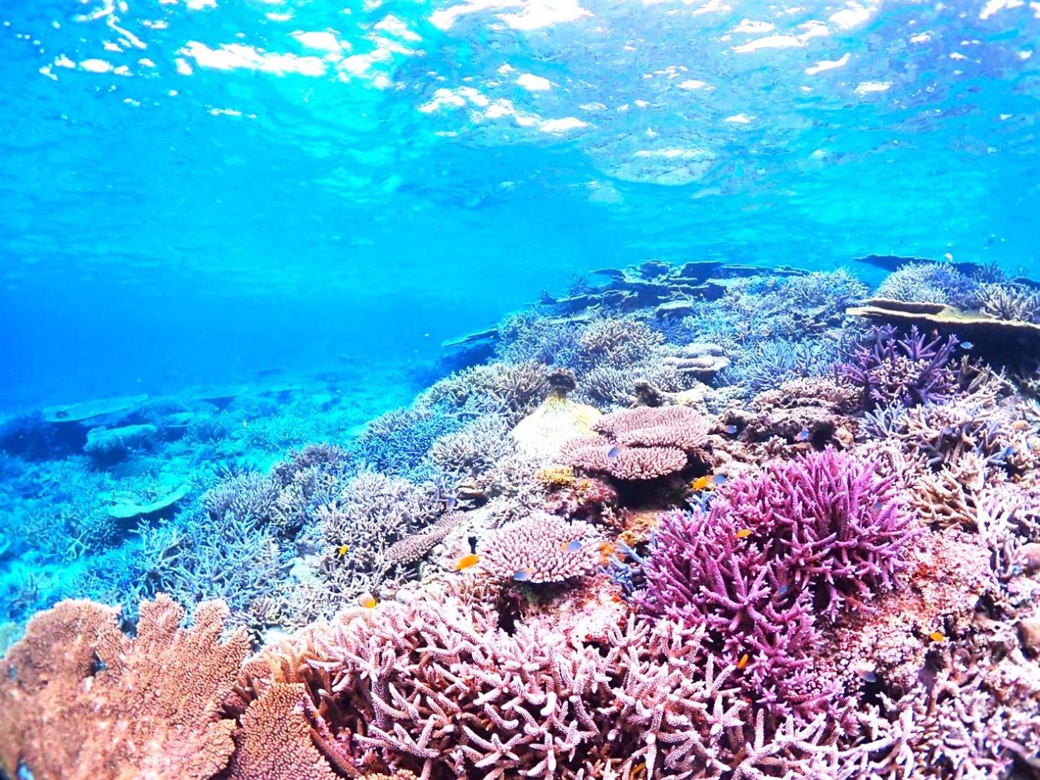 Coral Sea Villa OKINAWA MIYAKOJIMA