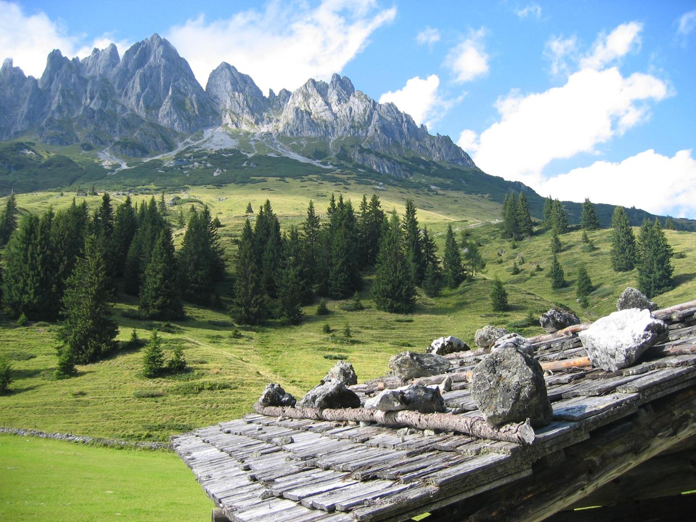 Appartementhaus Hochkönig 1 - Alpenrose