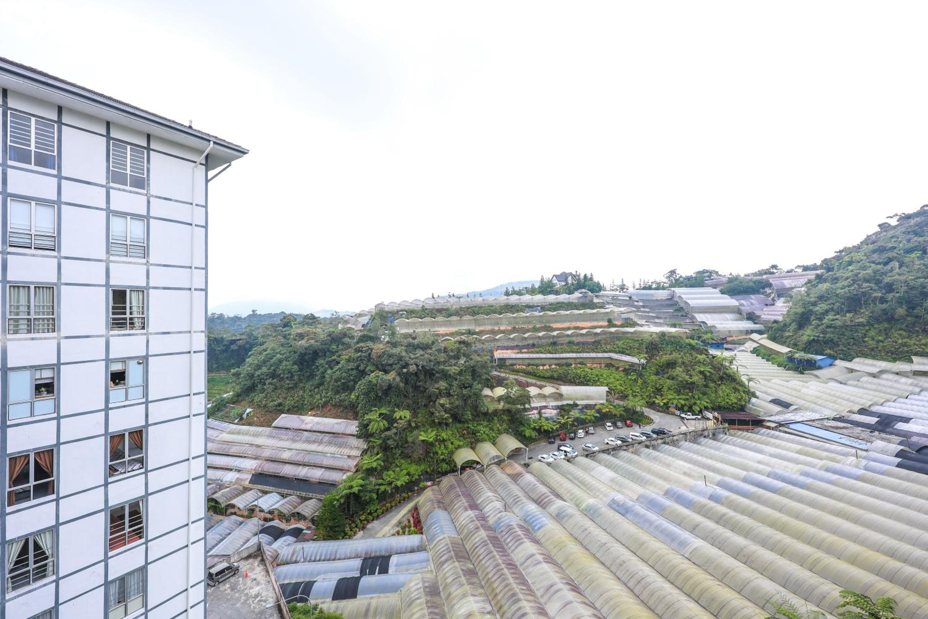 Comfort & Joy Family Homestay In Cameron Highland Clover Home 7-22