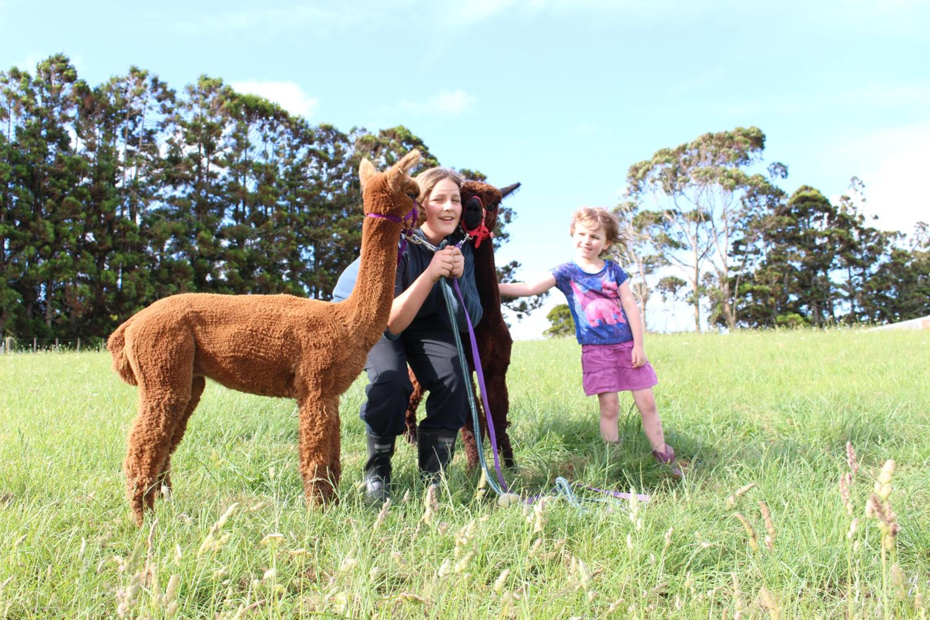 Pukeatua Farmstay