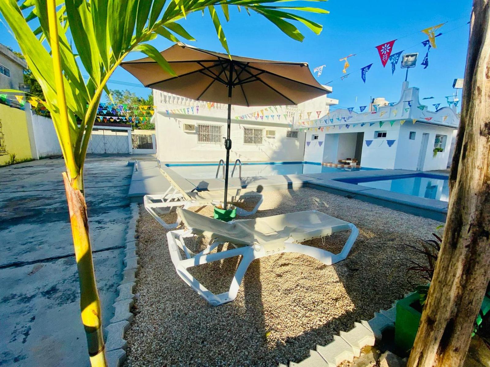 Hostel Treebu