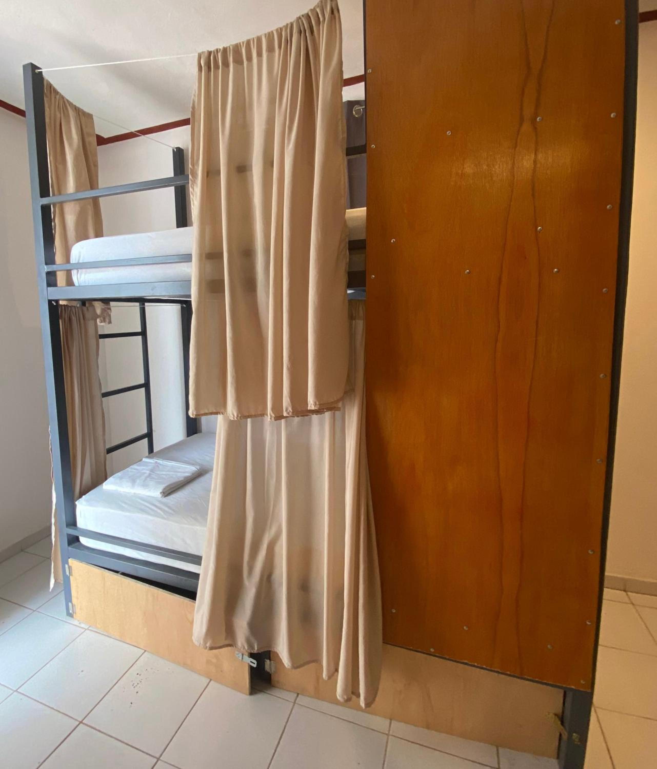 Hostel Treebu