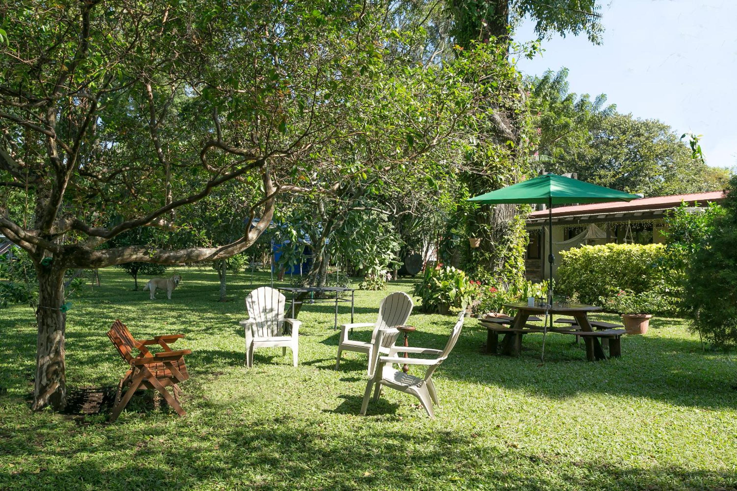 Airport Costa Rica B&B