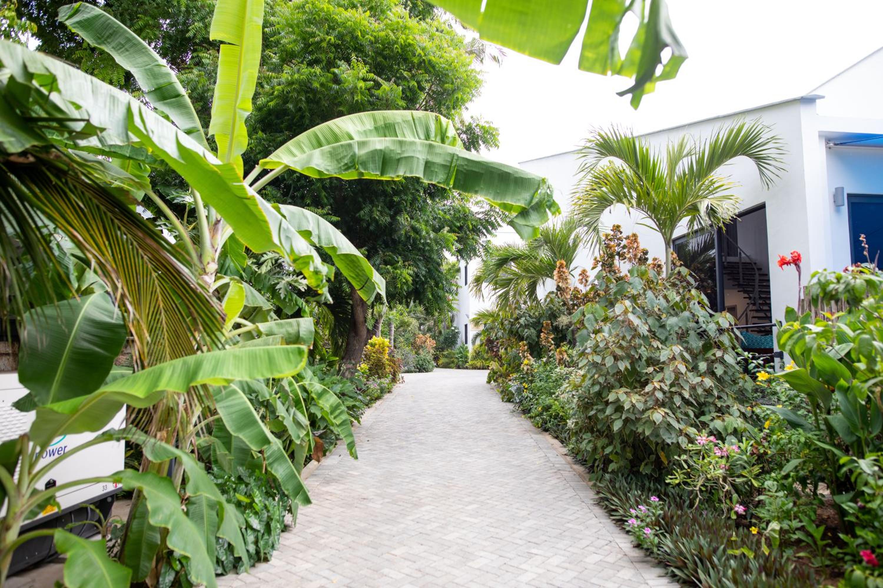 Coral Reef Villas - luxury 5 star villas each with private pool, Watamu
