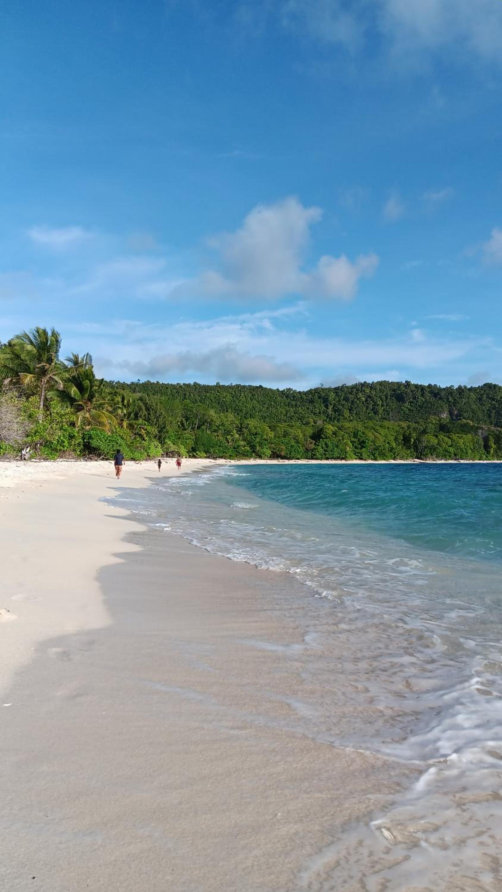 Senjahomestayrajaampat