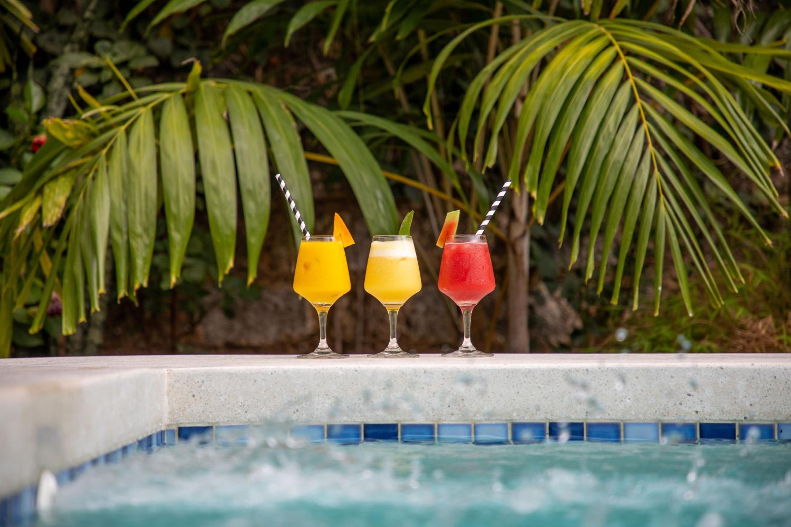 Coral Reef Villas - luxury 5 star villas each with private pool, Watamu