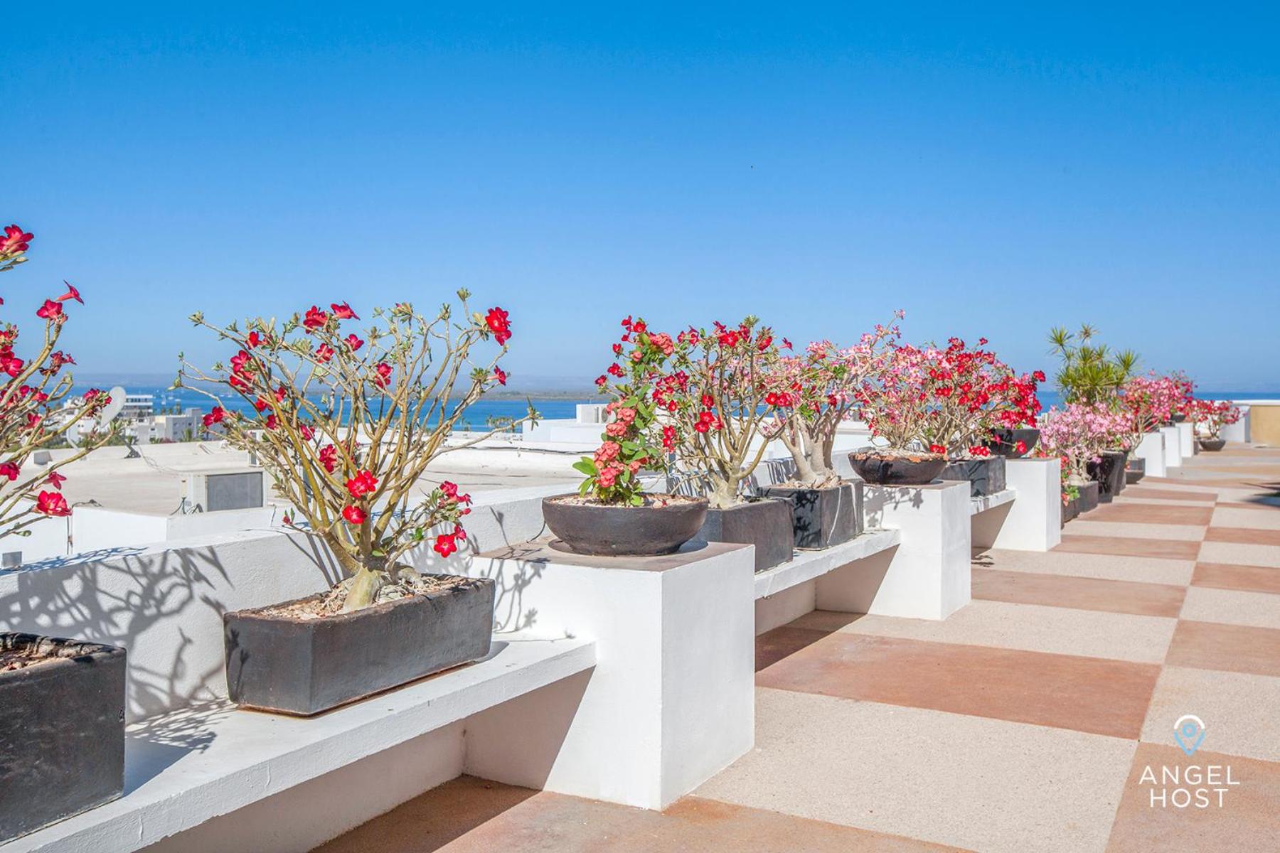 Condos with Spectacular Views & Pool Onsite