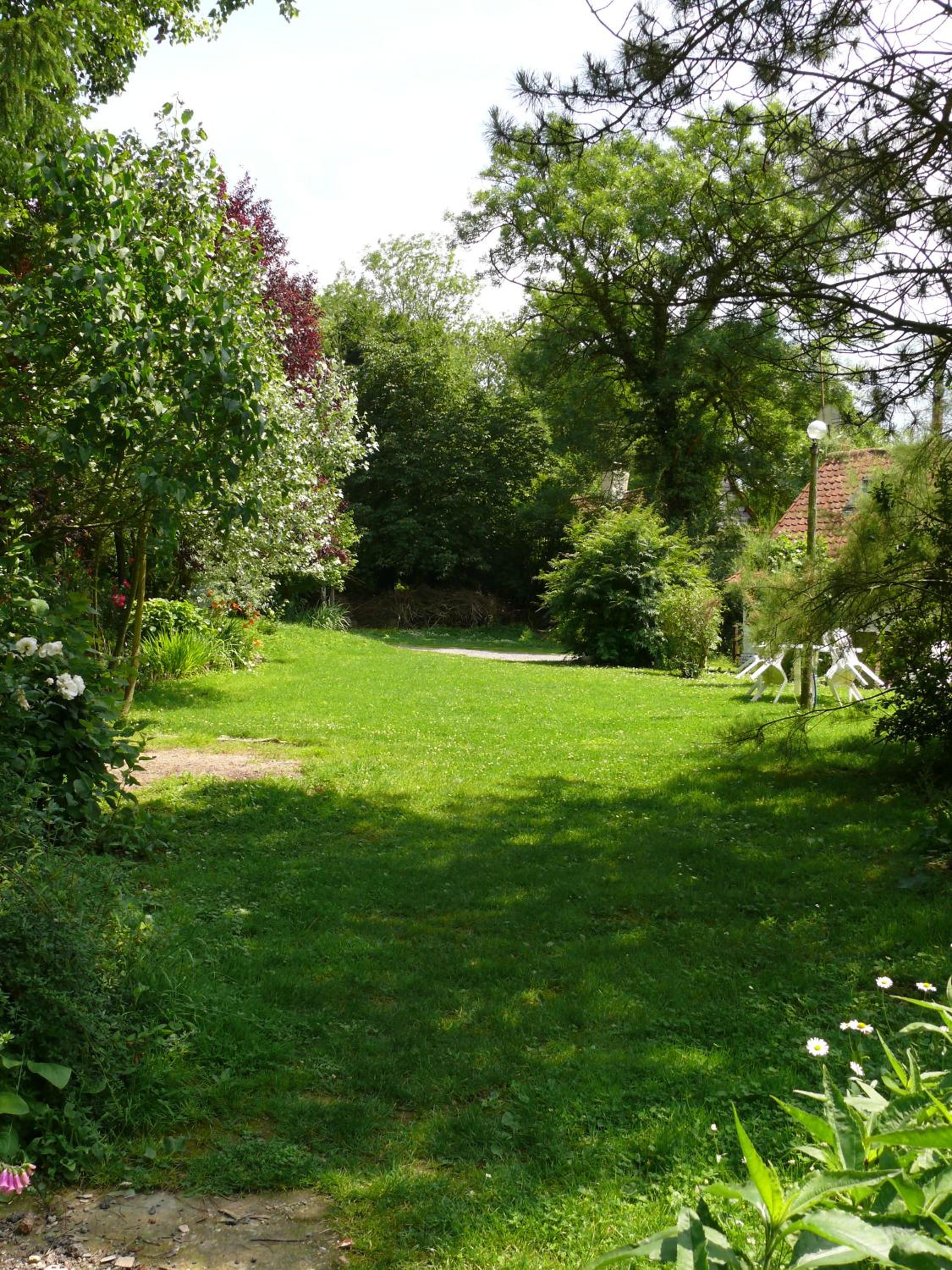 Photo 31
