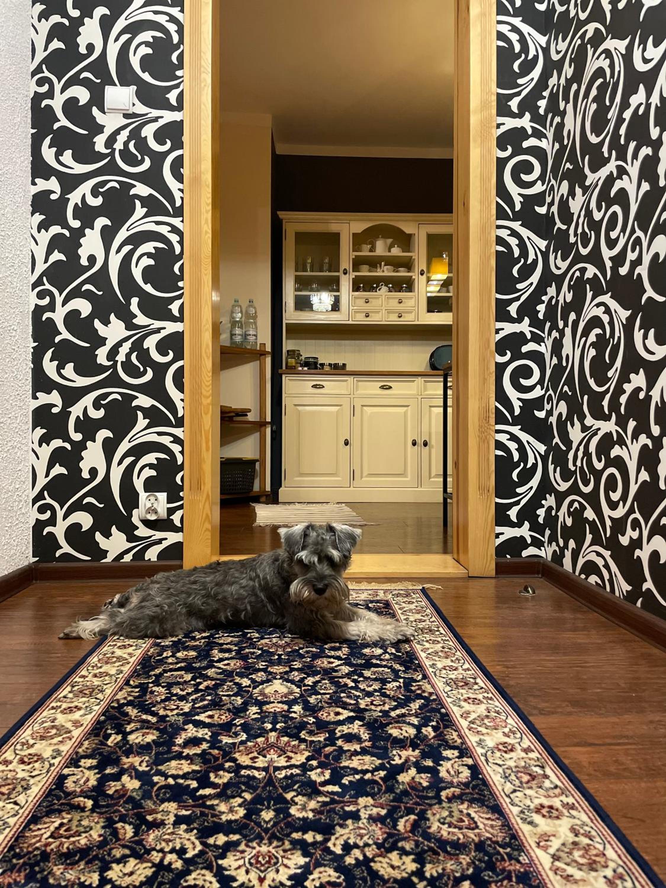 Wyjątkowy Apartament w Sercu Jeleniej Góry