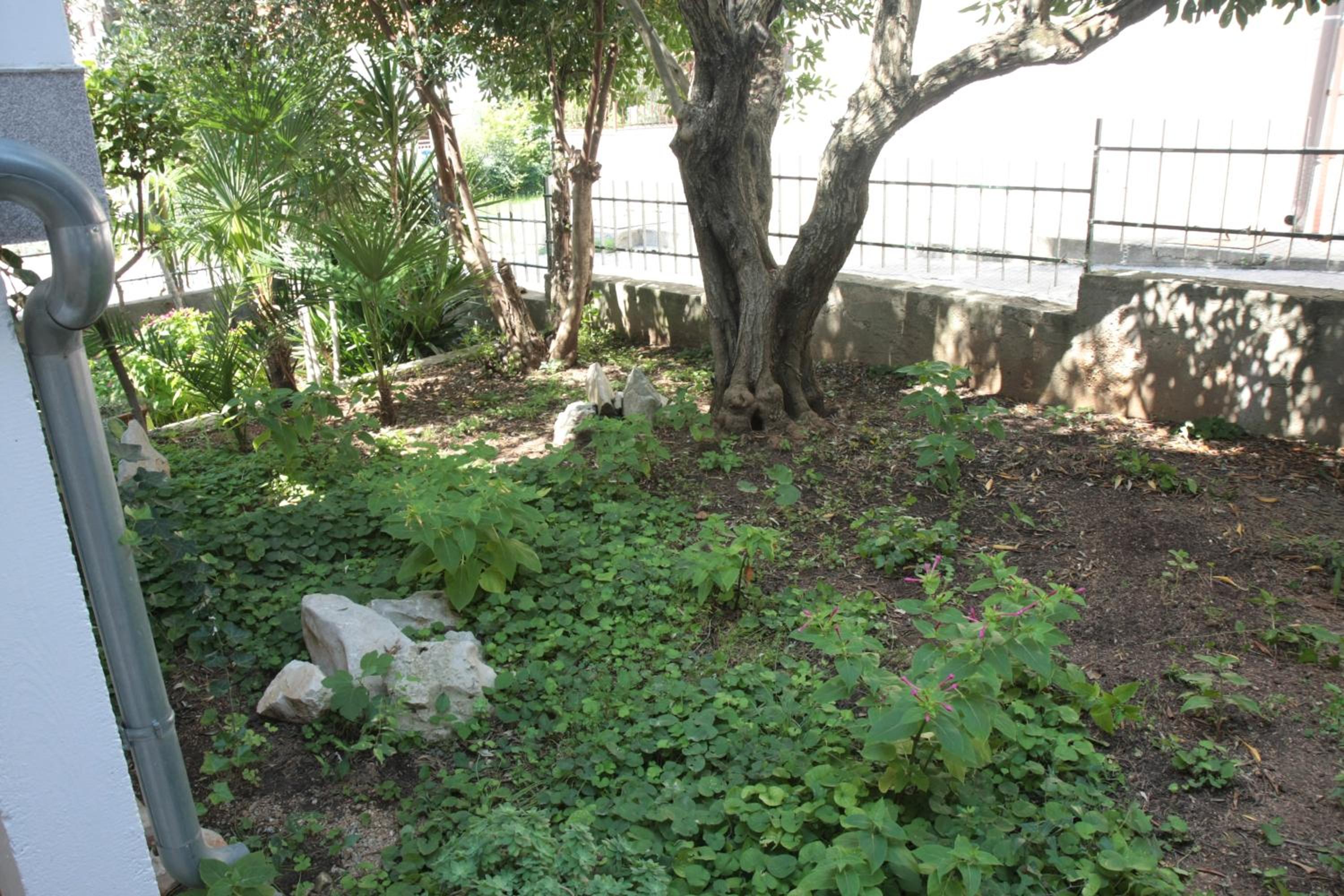 Photo 63