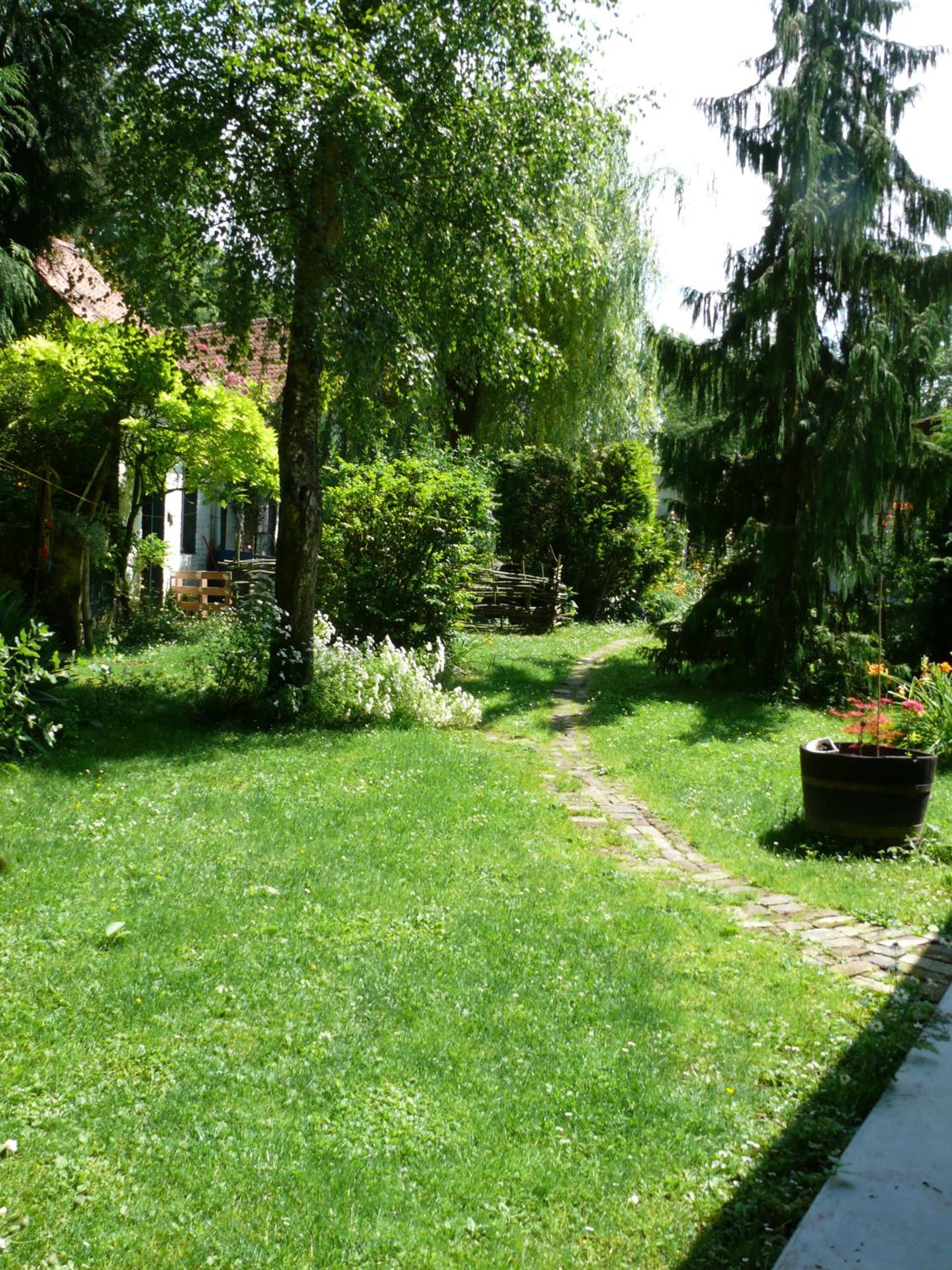 Photo 29