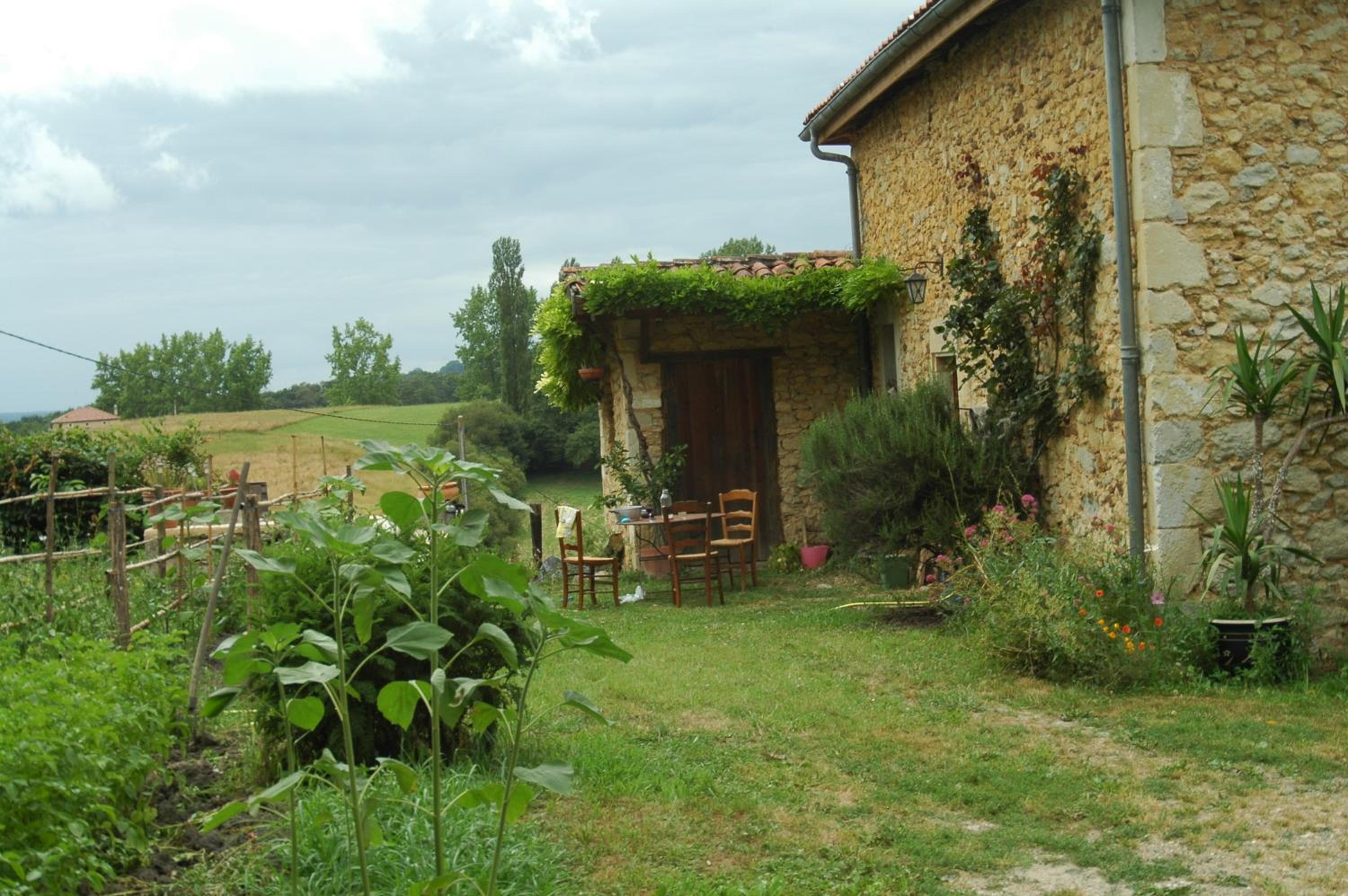Photo 10