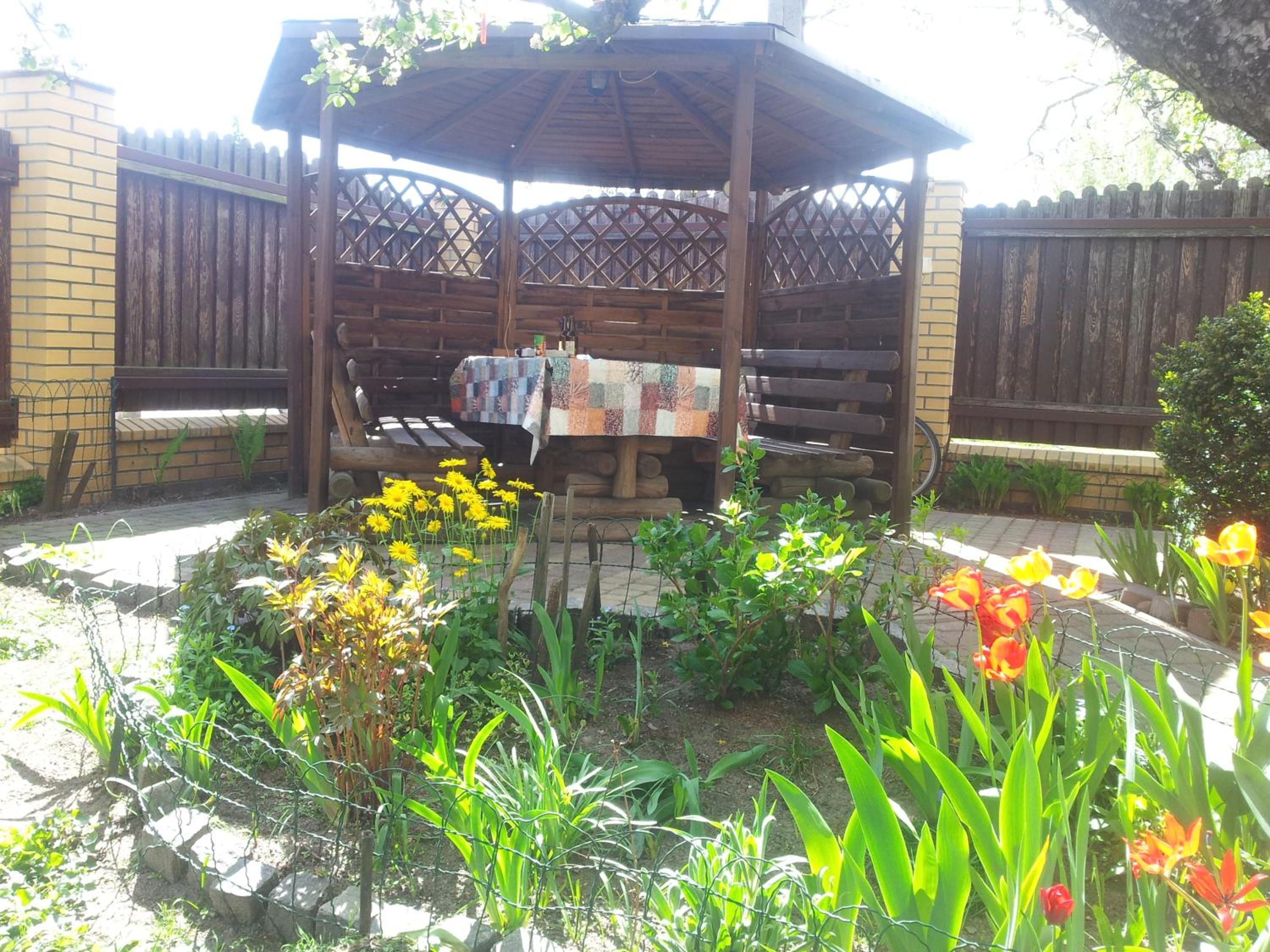 Photo 14