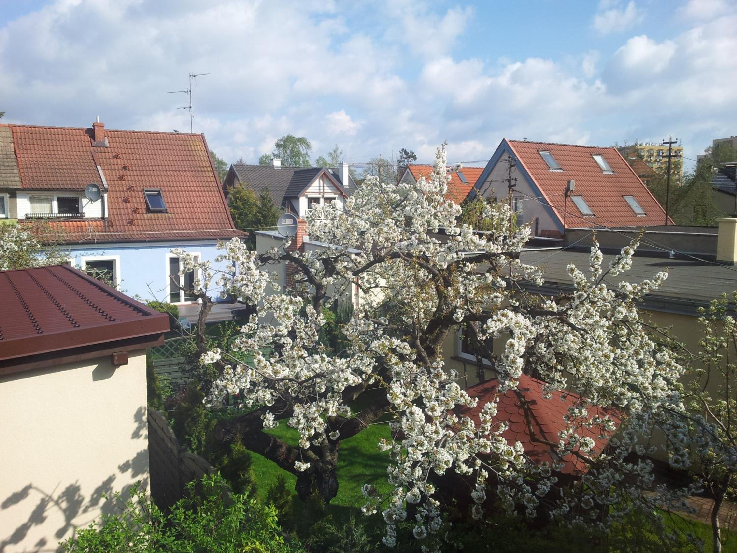 Cozy Apartment With Garden view 2