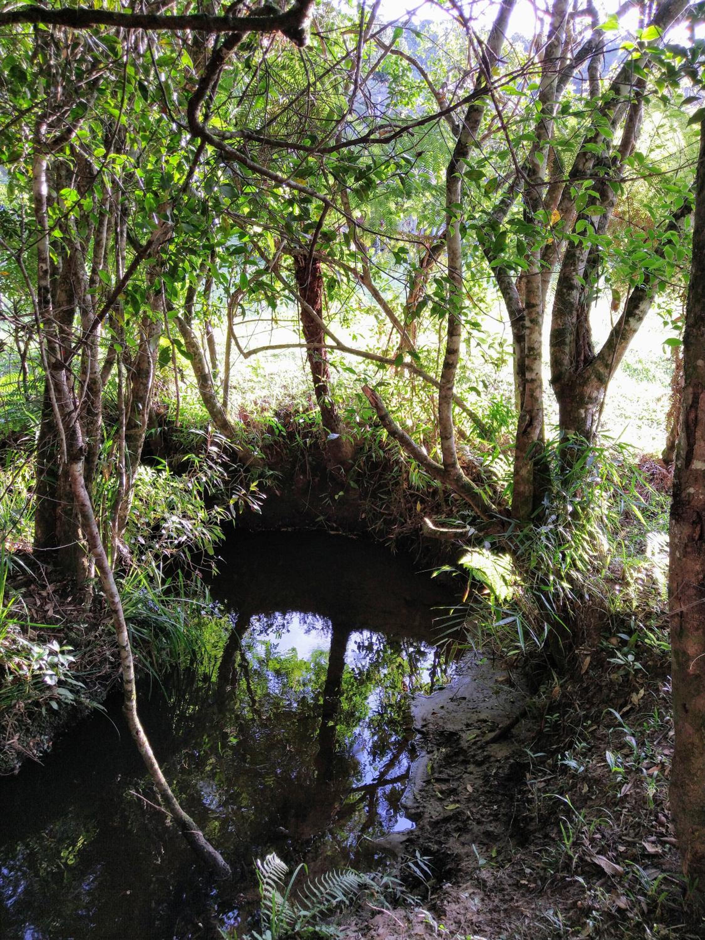 Casa de Campo em Bom Jardim de Minas