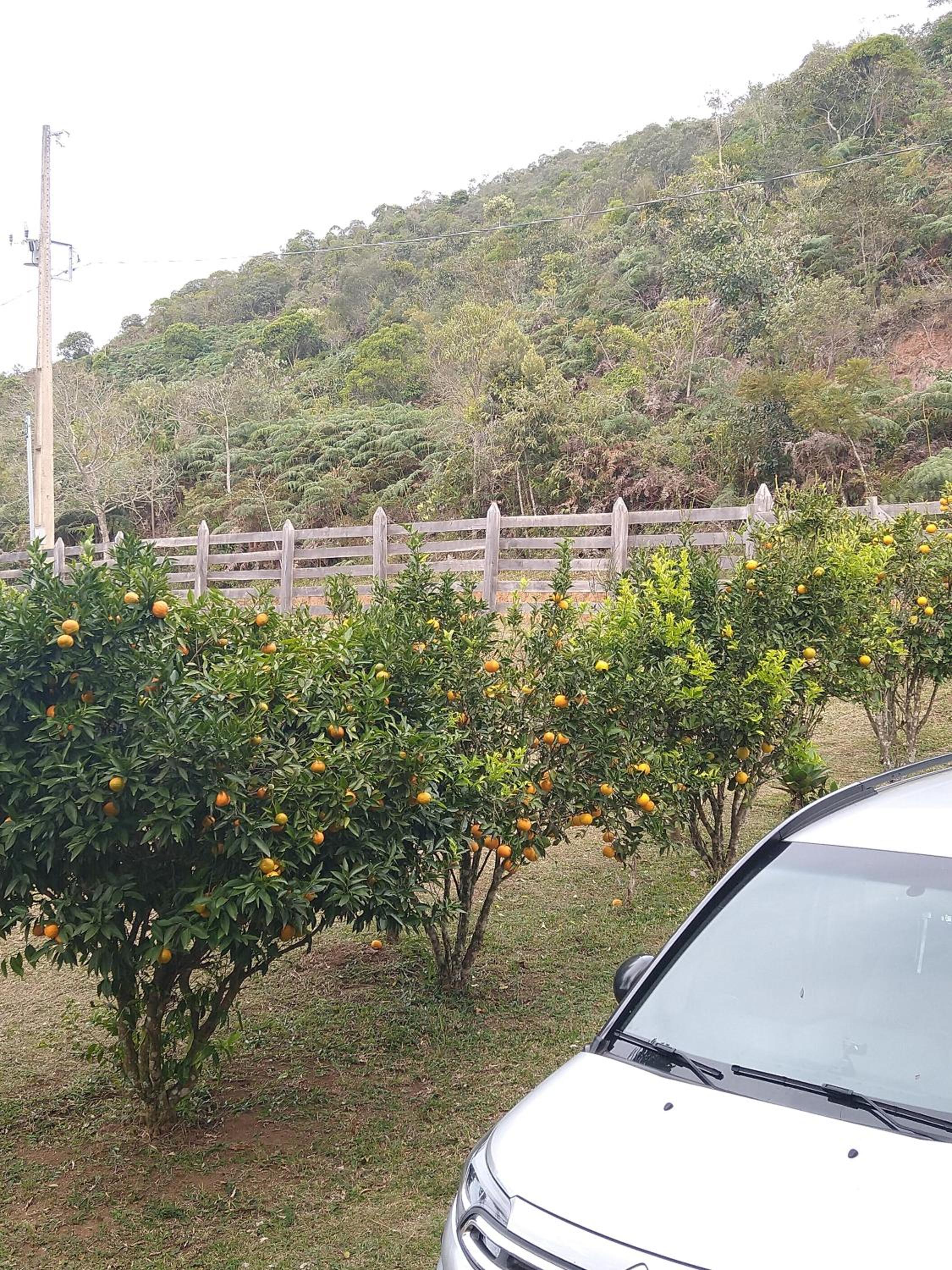 Casa de Campo em Bom Jardim de Minas