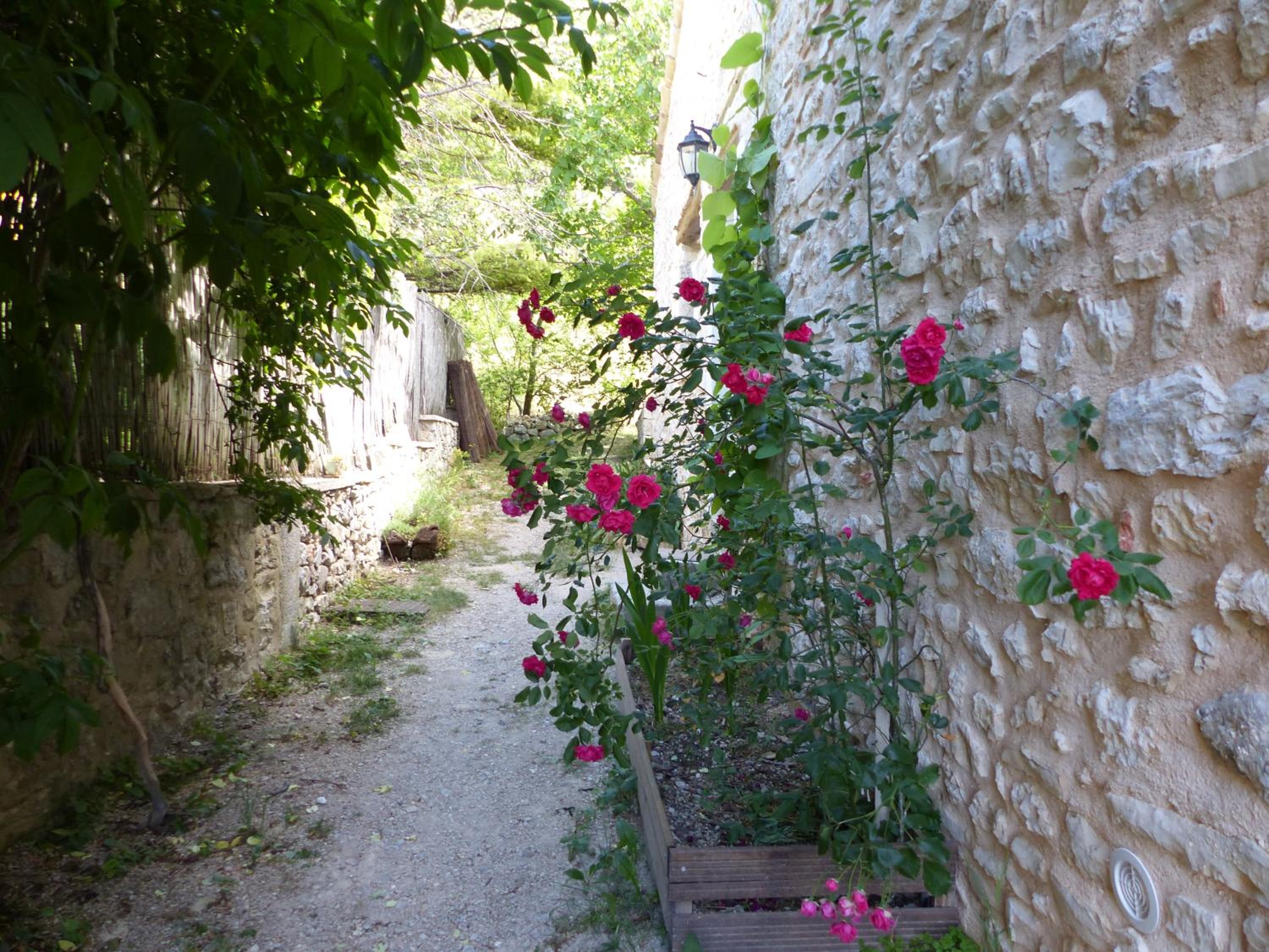 Photo 47
