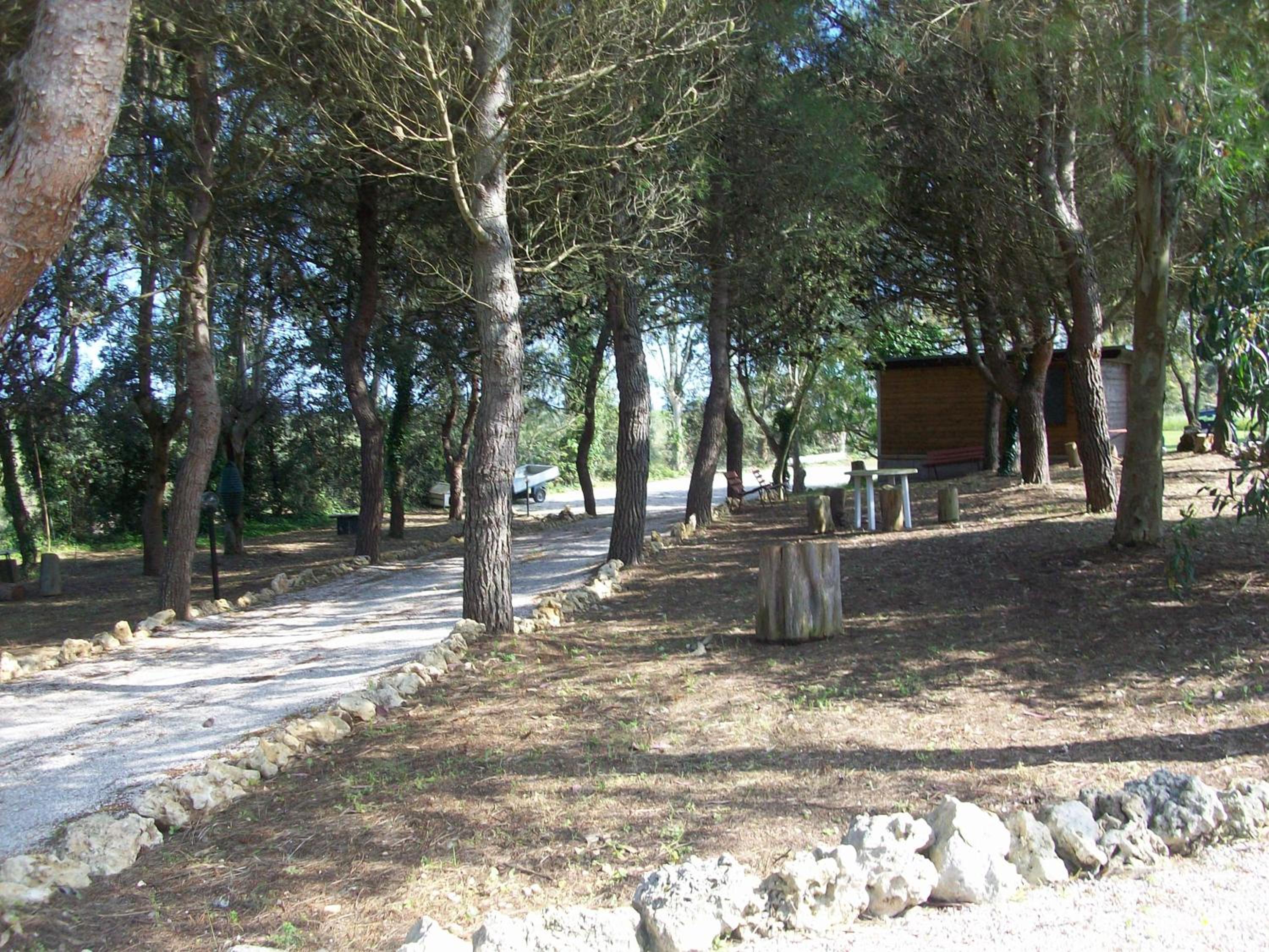 Photo 40