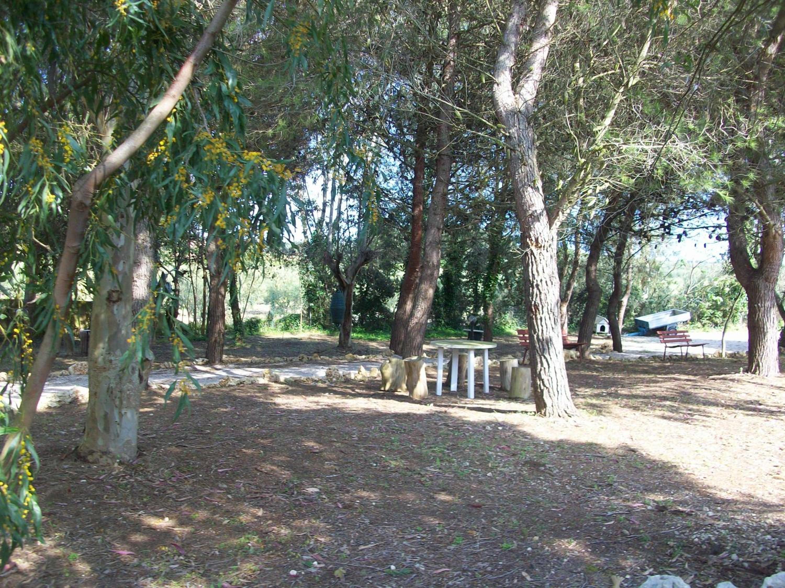 Photo 41