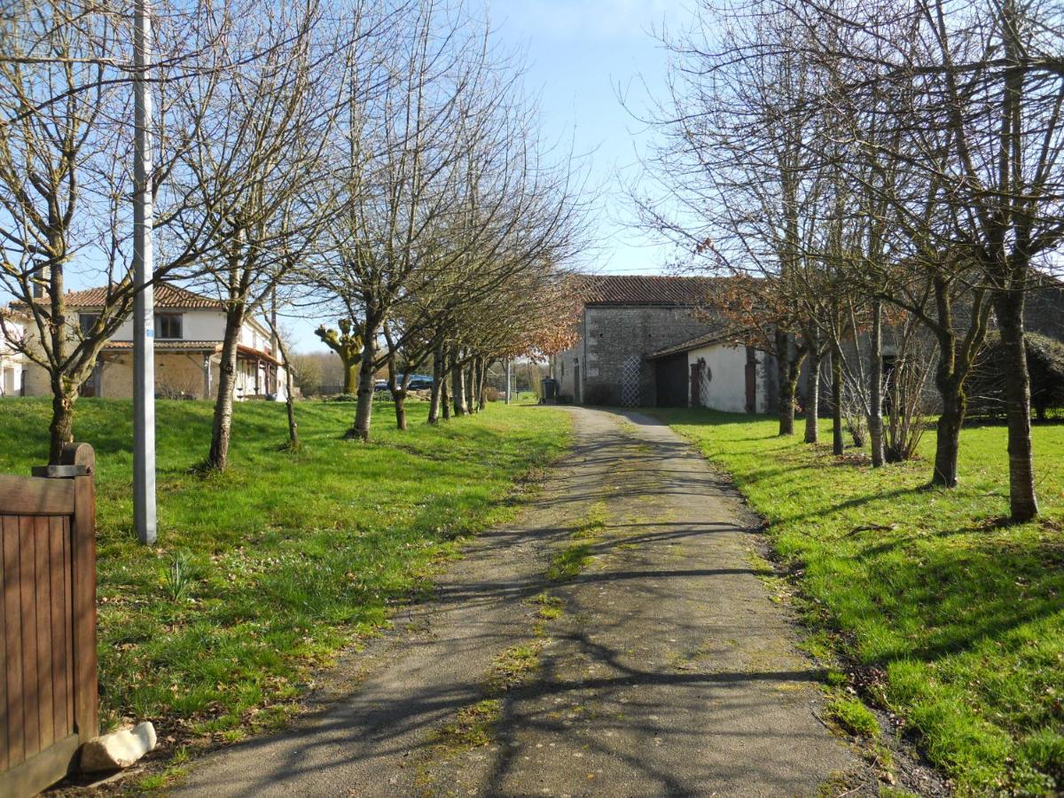 Photo 23