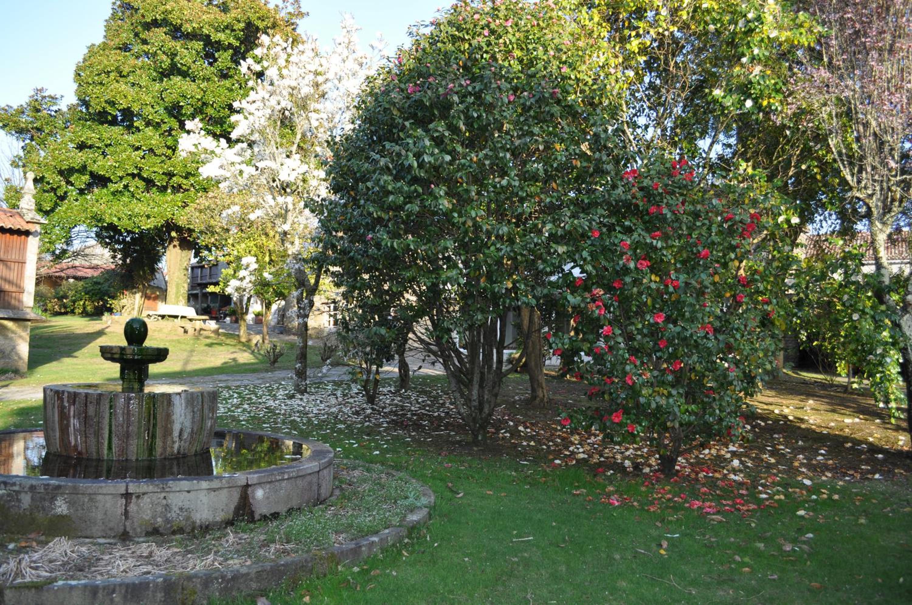 Photo 32
