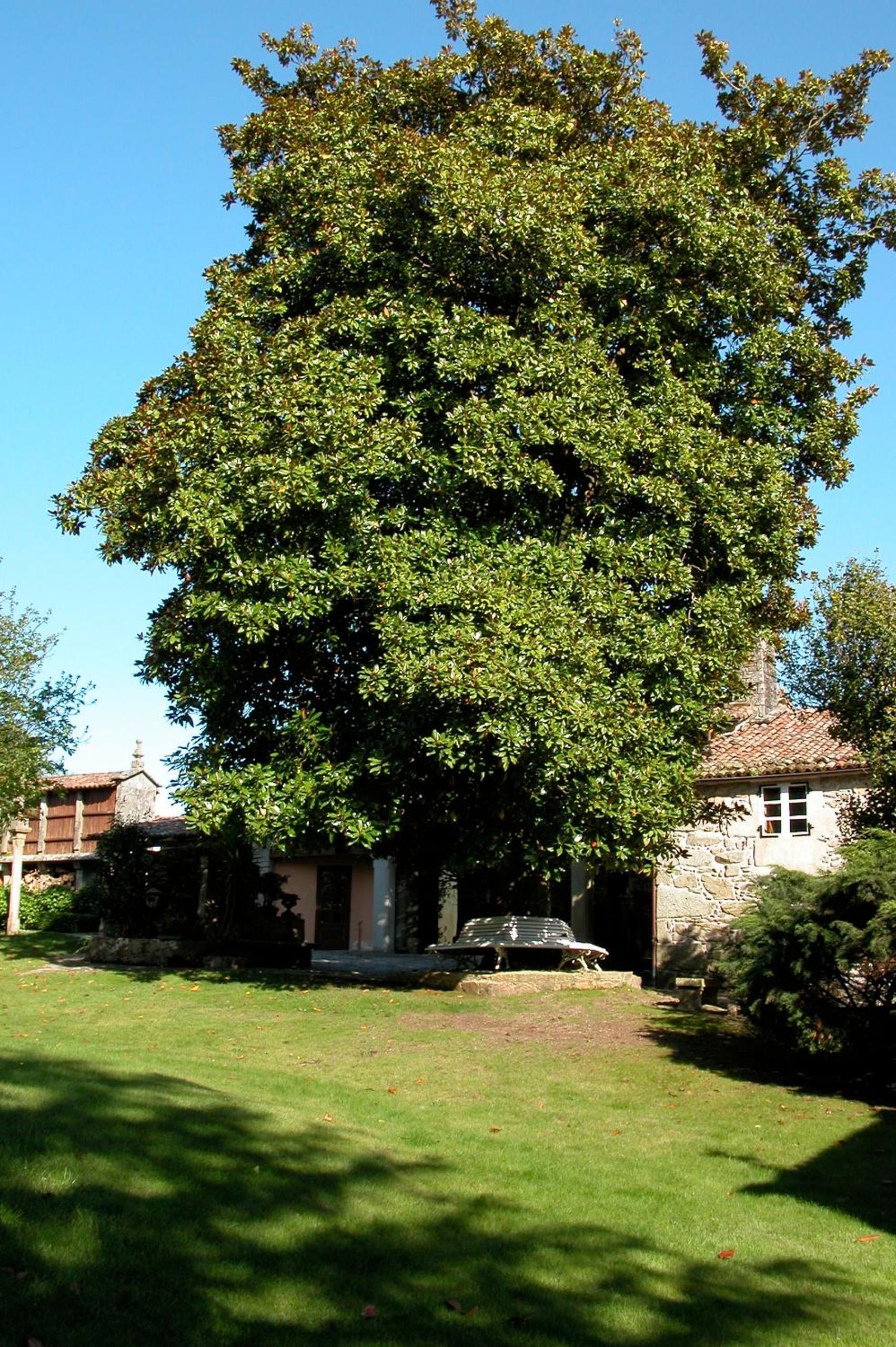 Photo 38