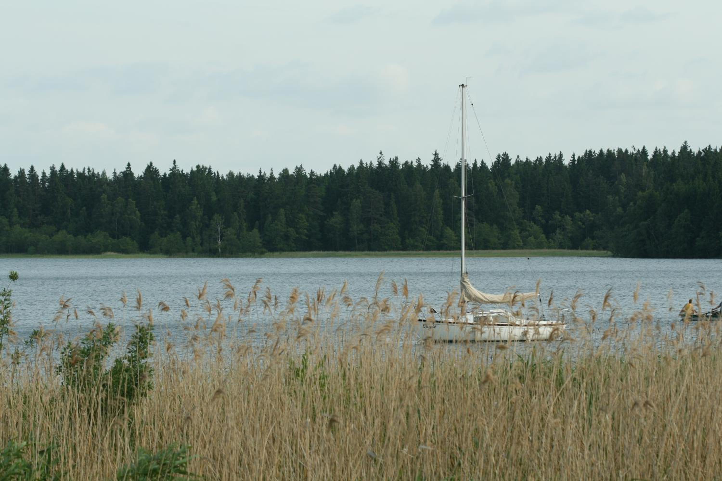 Photo 31