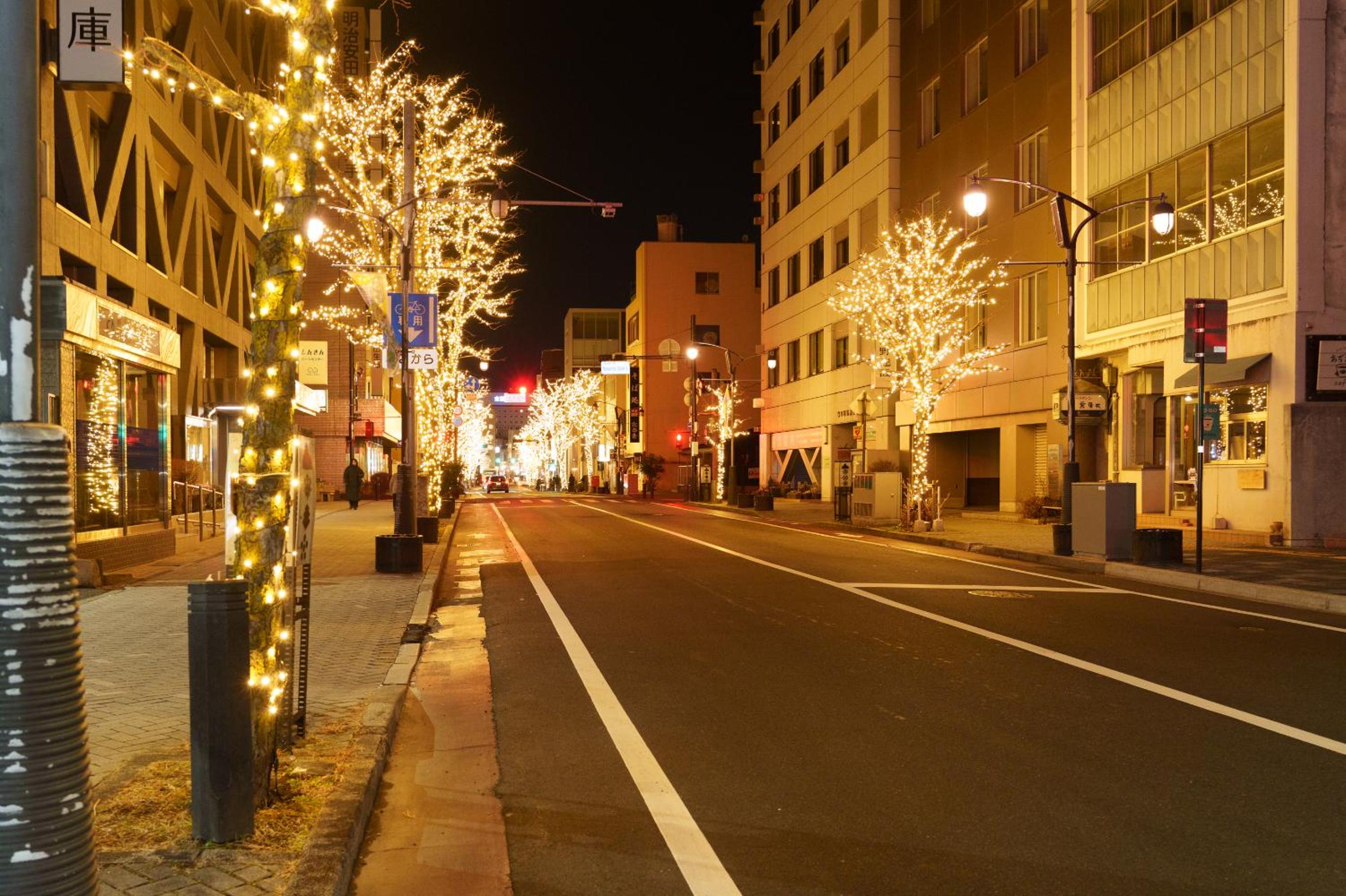 Golden Fox Inn, Old house in the old city, Walking distance to Matsumoto Castle and tourist attractions