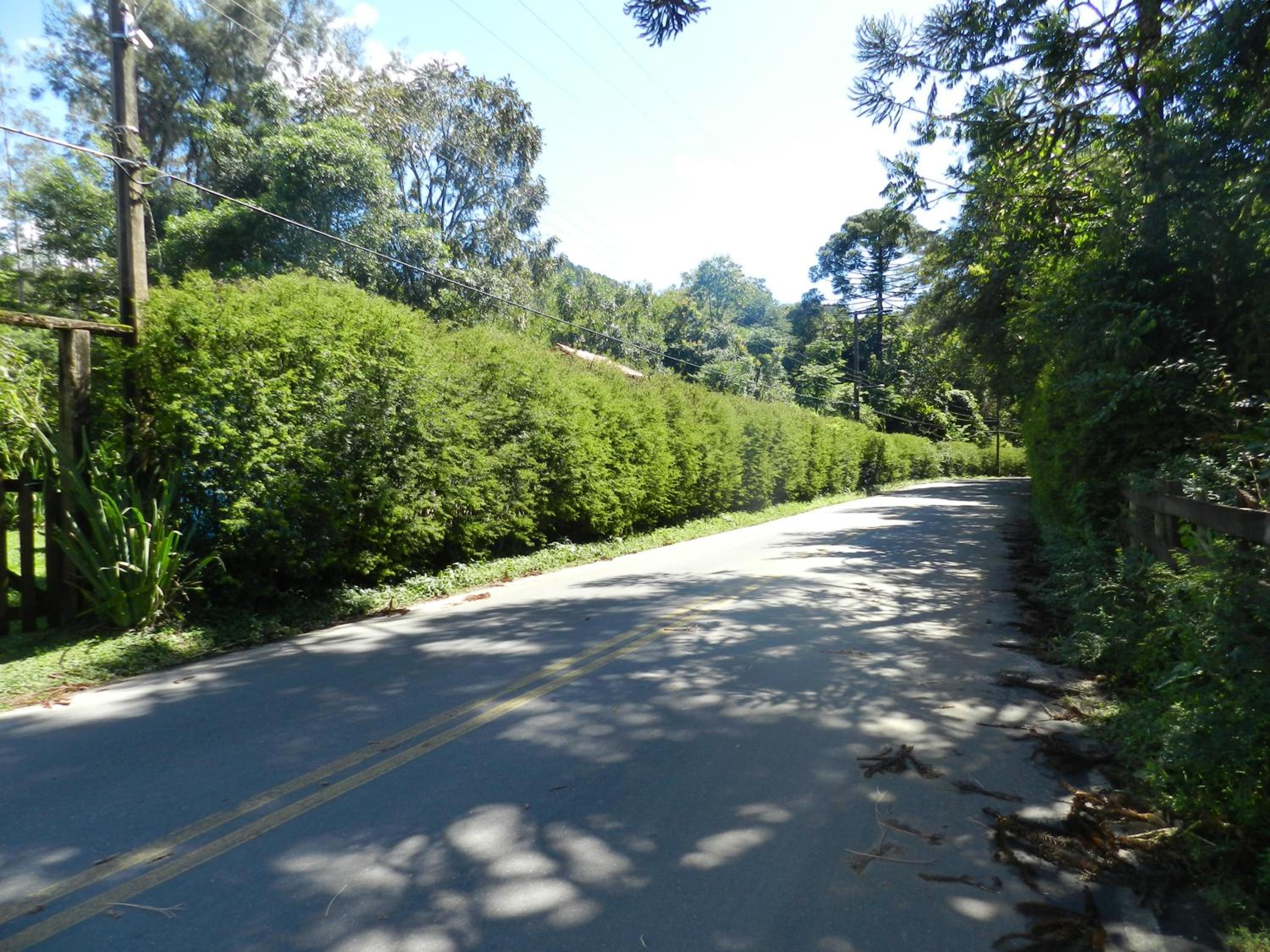 Photo 45