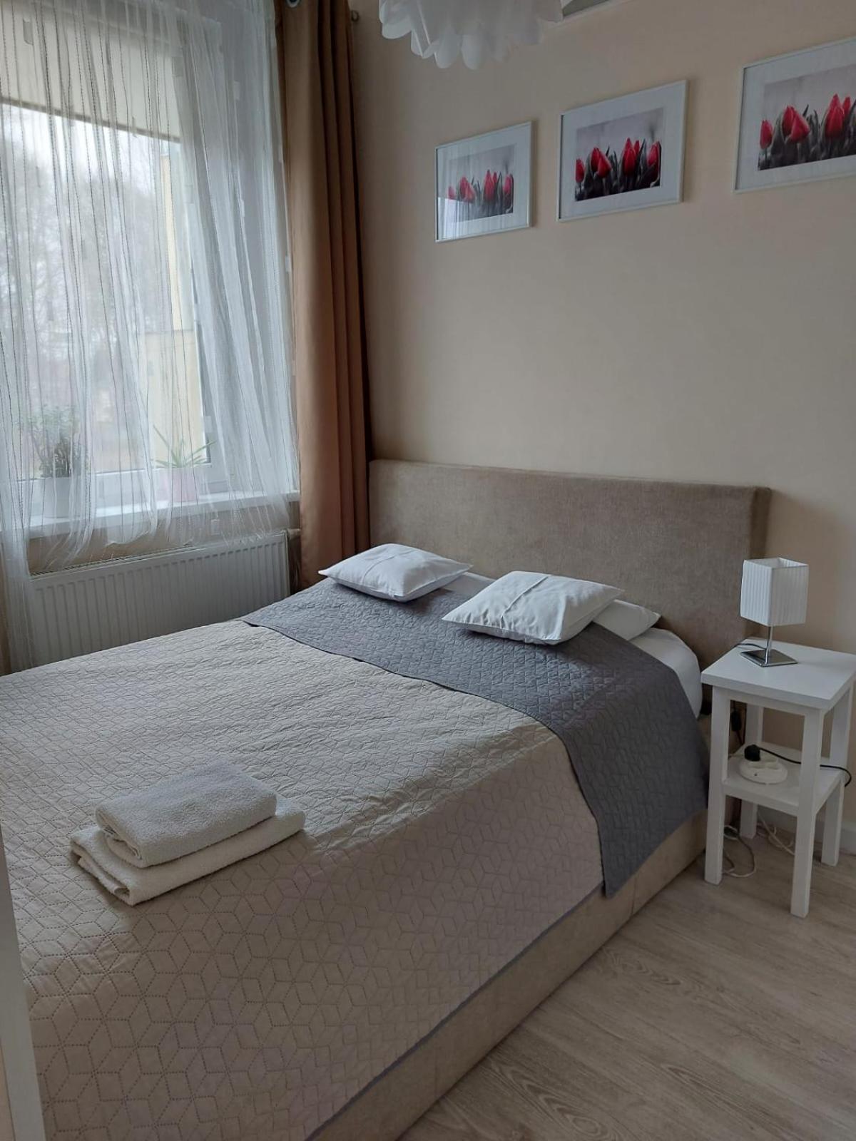 come&stay Zielona Góra, photo 10