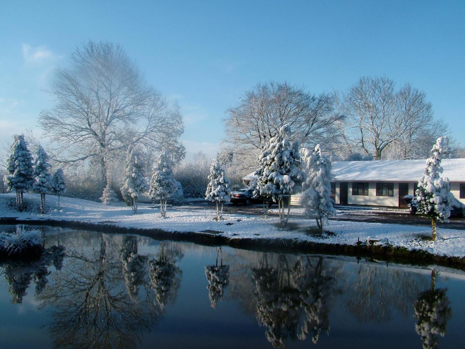 Pinewood Lodge