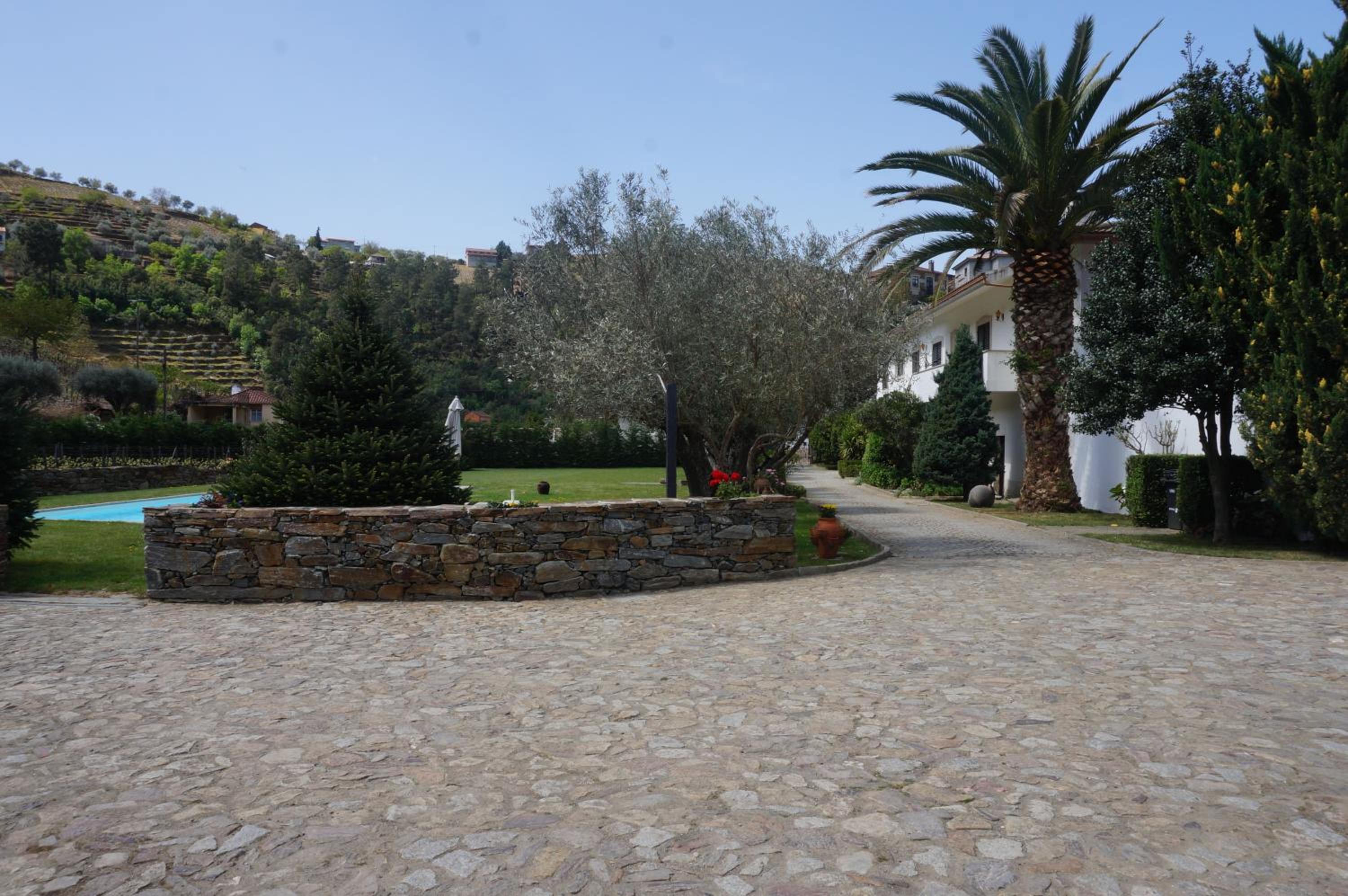 Photo 48