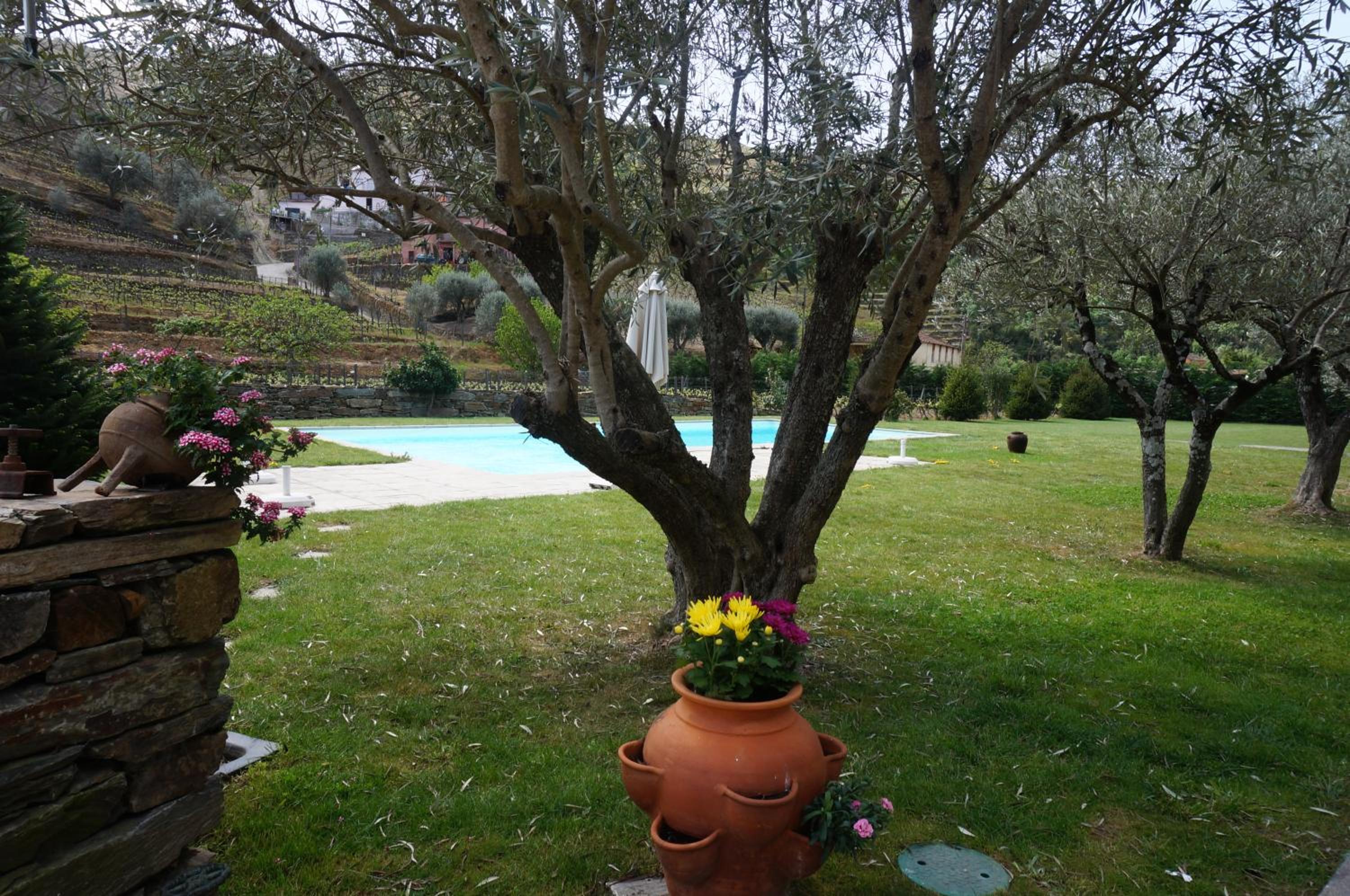 Photo 49