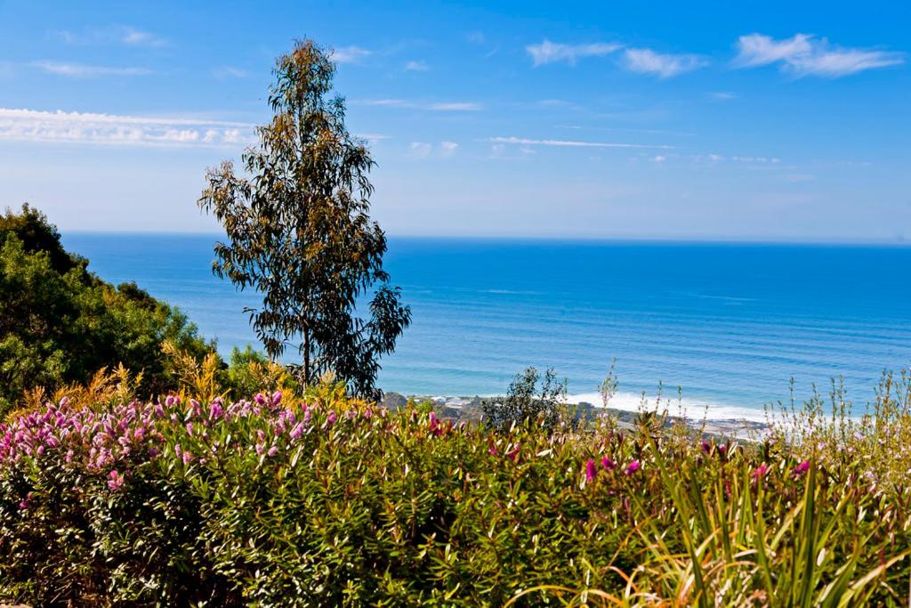 Beacon Point Ocean View Villas
