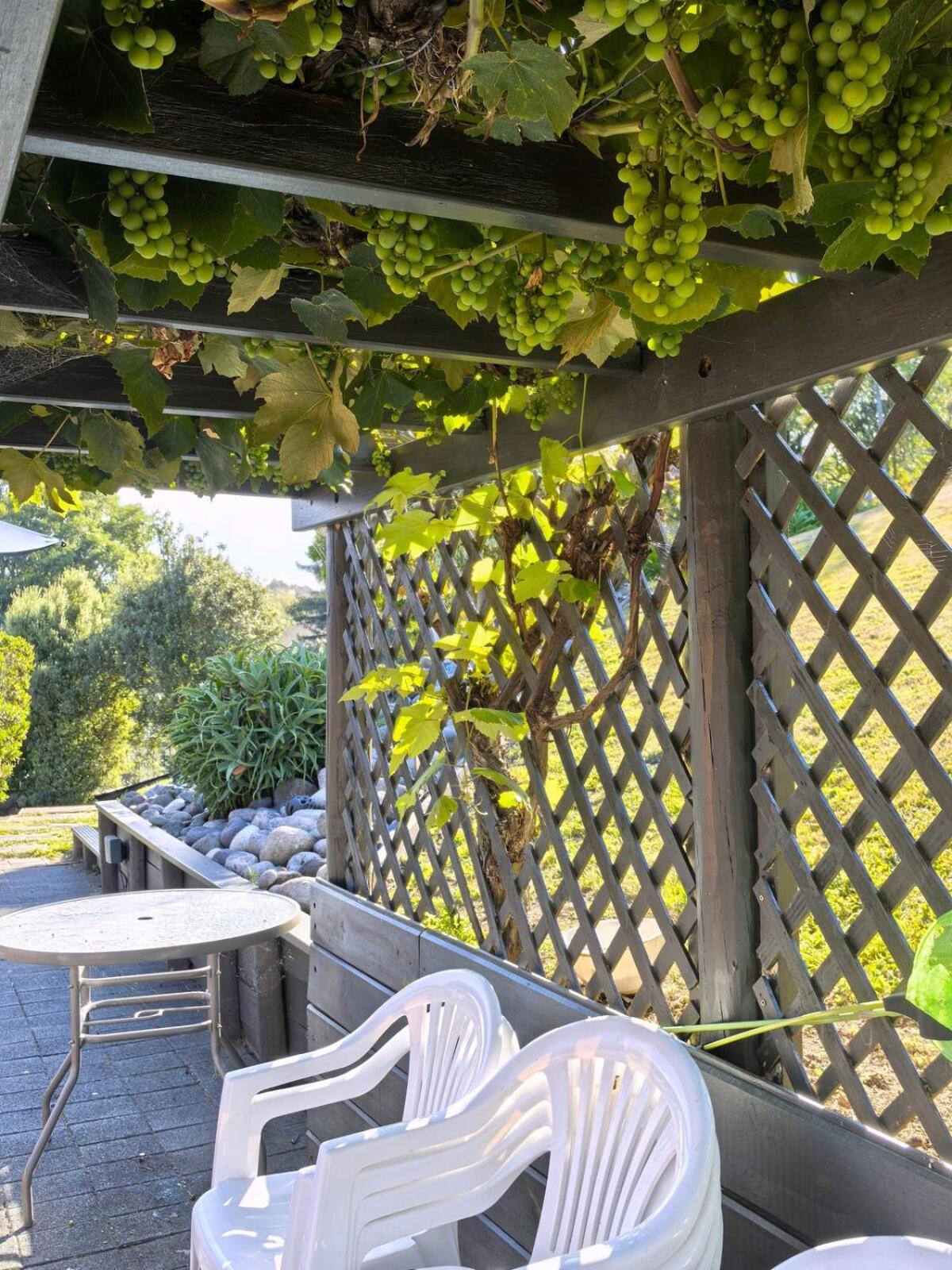Spacious Rotorua Family Retreat with Huge Garden - Up to 11 Guests