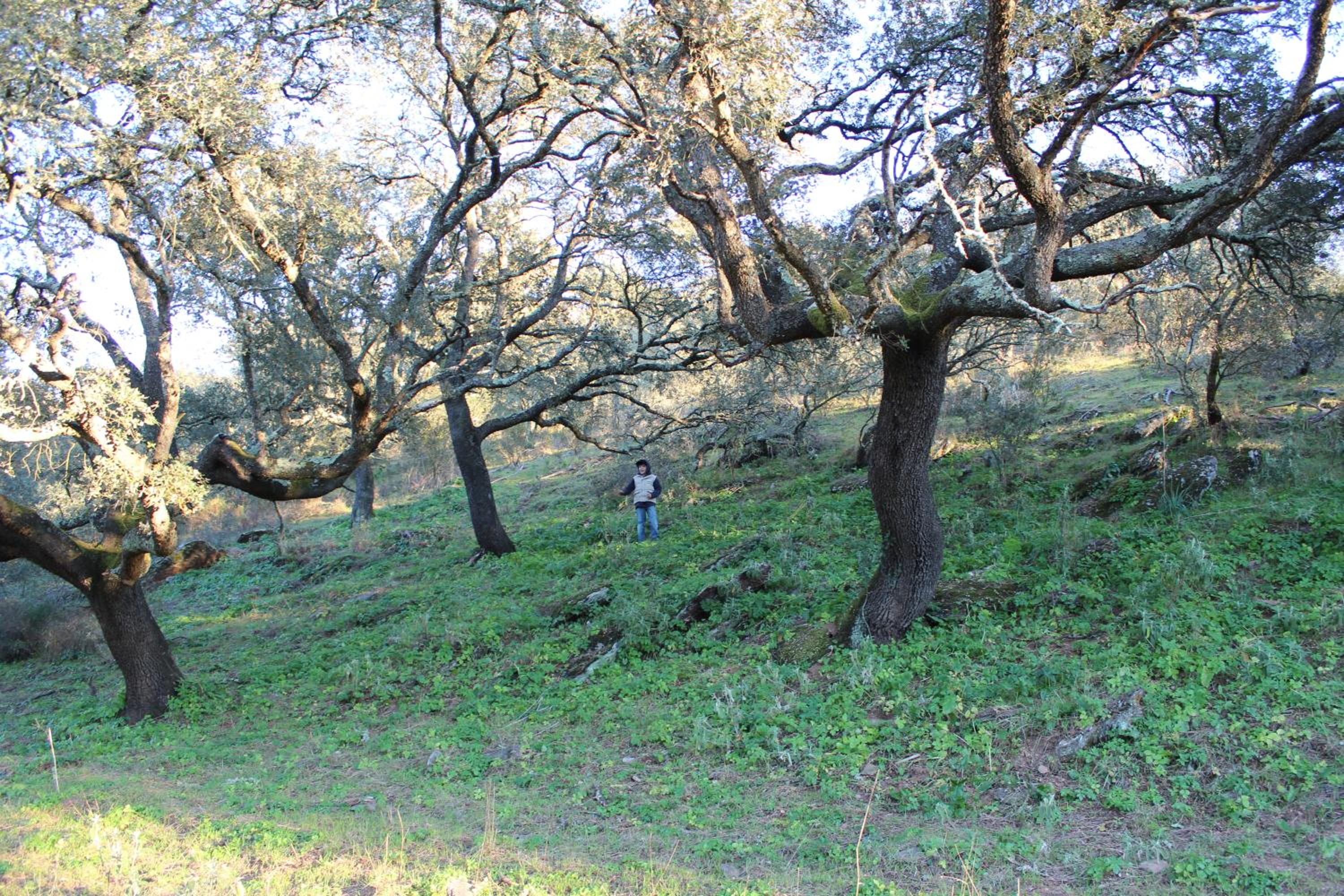 Photo 41