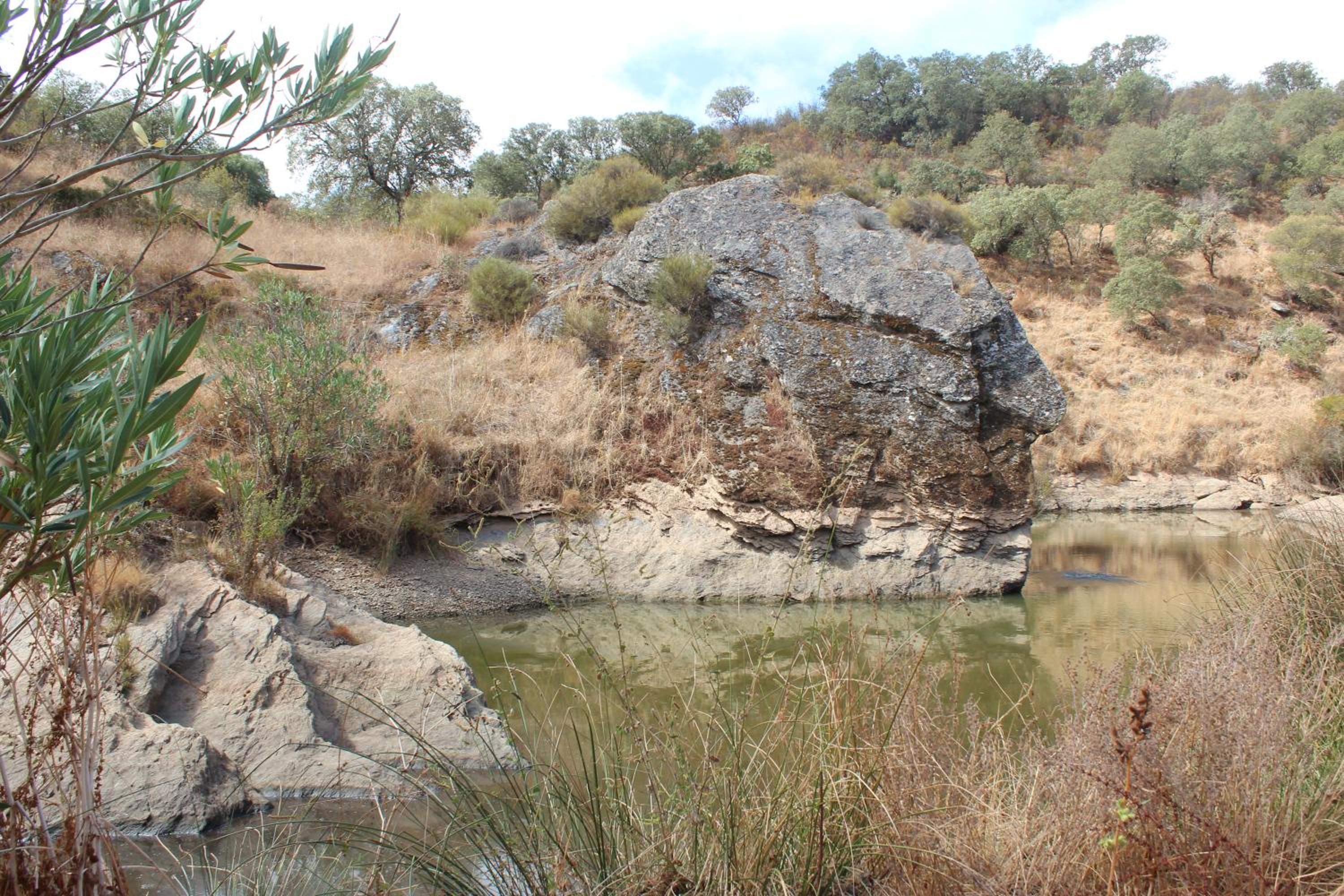 Photo 42