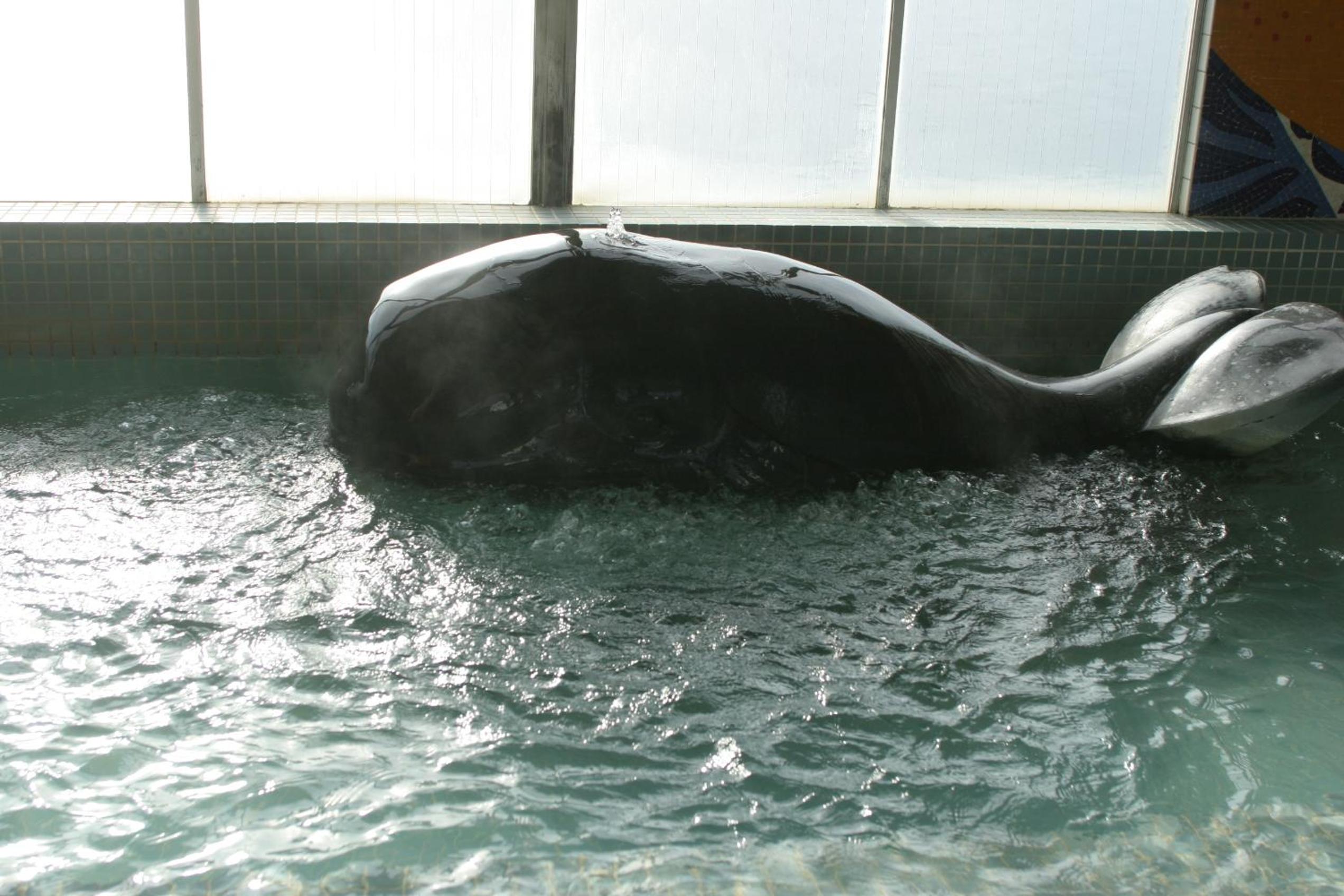 Tabinoyado Ushionoakari Geiboso