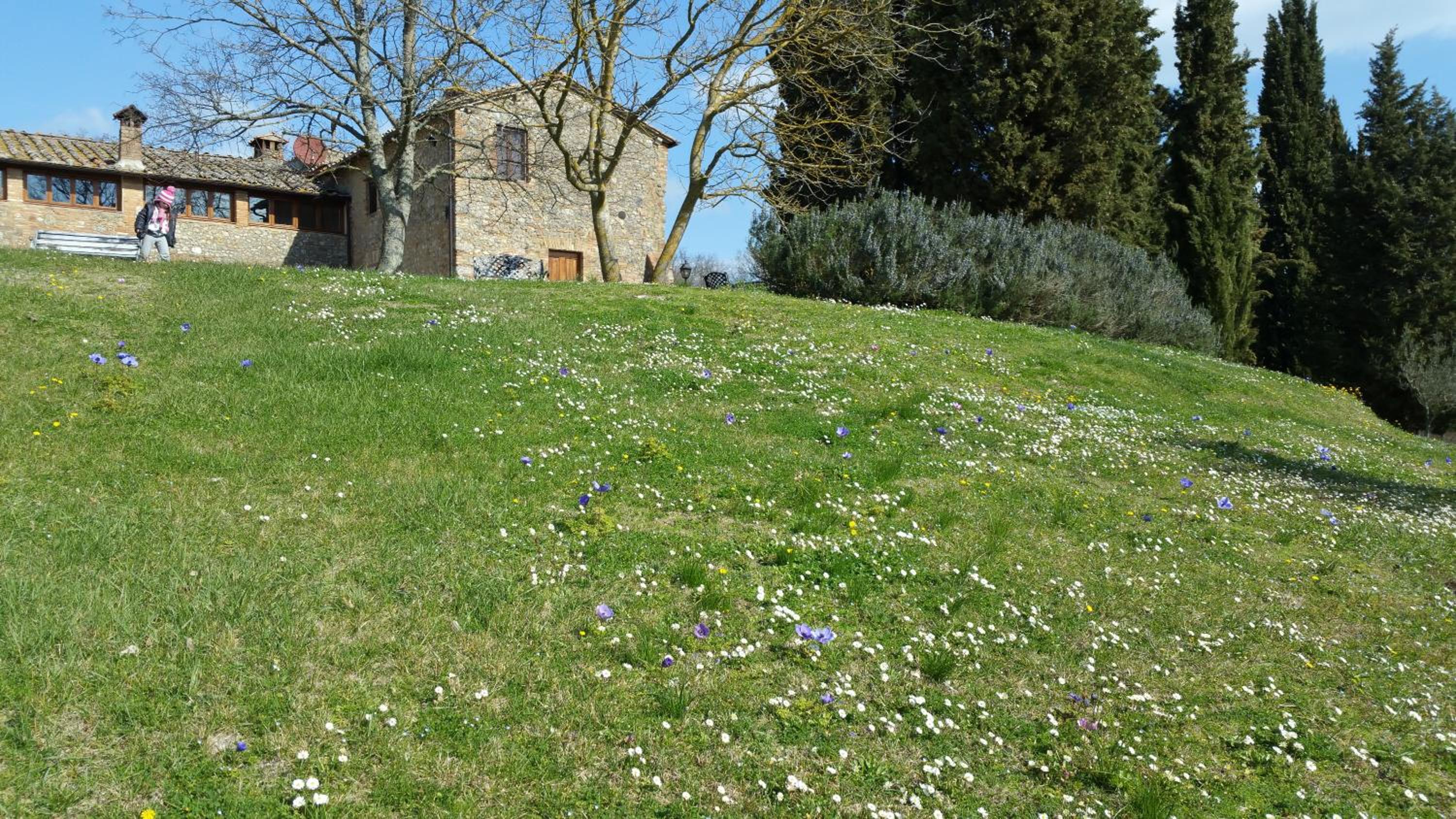 Agriturismo Natura E Salute