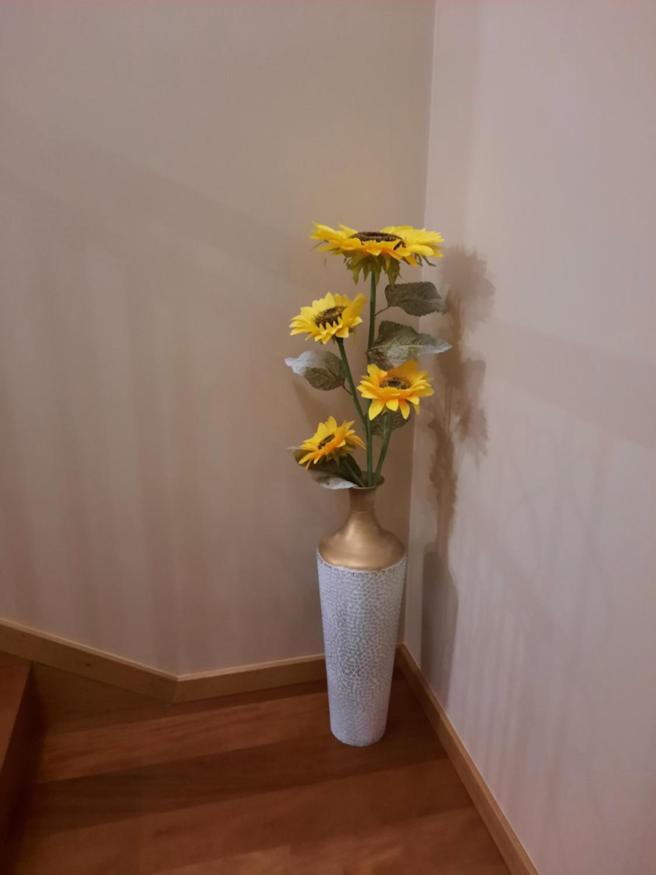 Rose Sun House