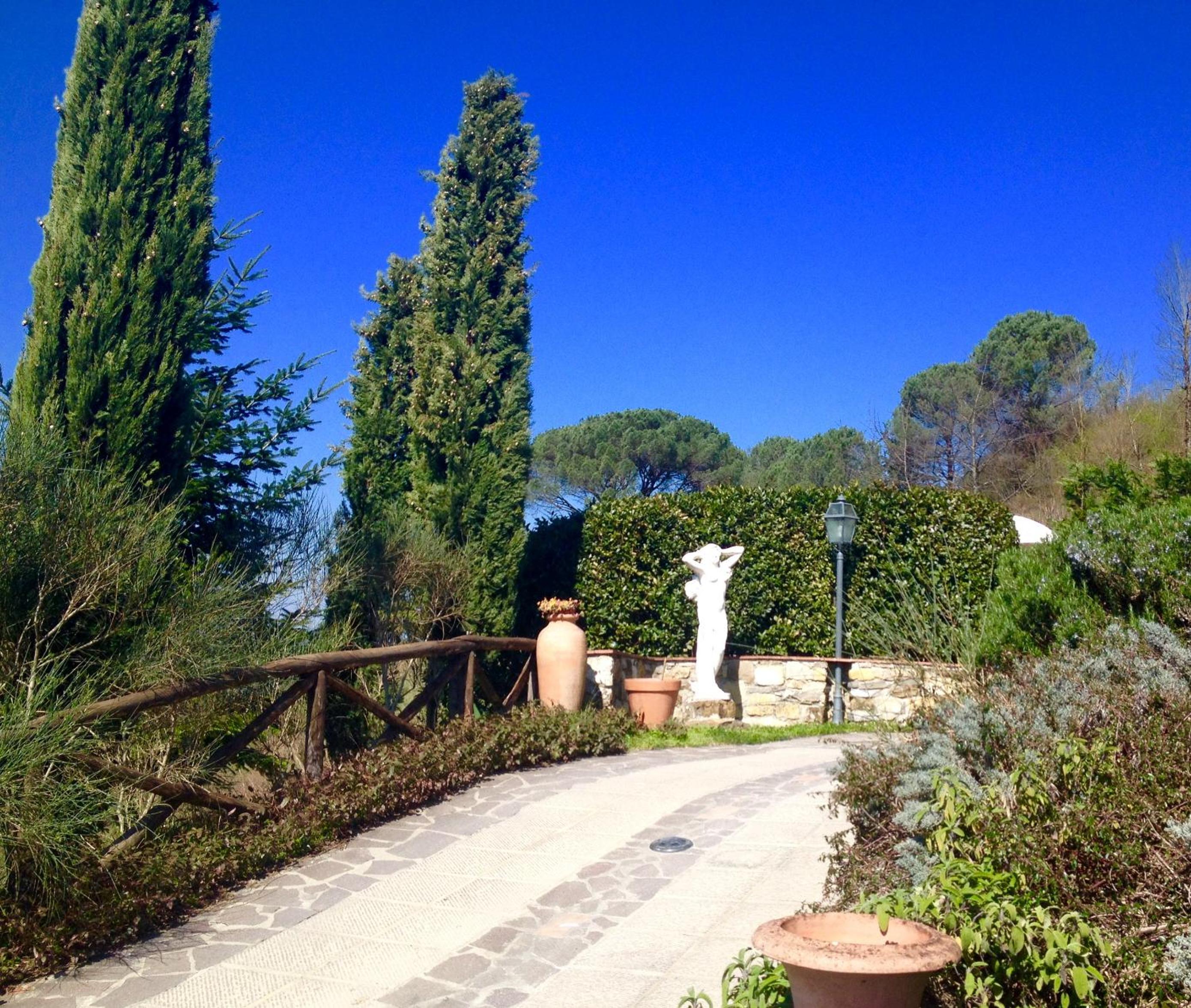 Photo 8