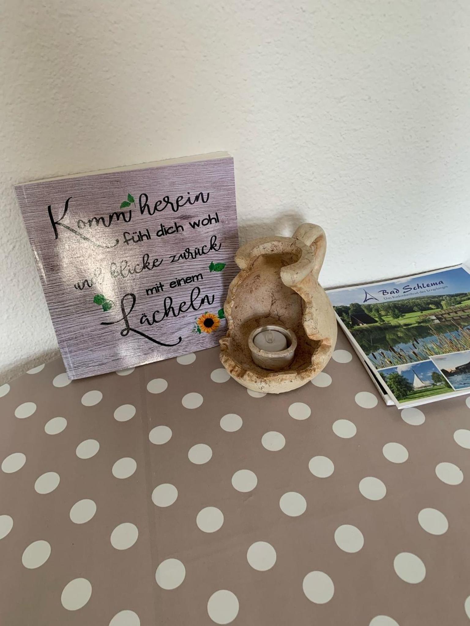 Ferienwohnung Dietel in Bad Schlema mit WLAN Terrasse Stellplatz inklusive