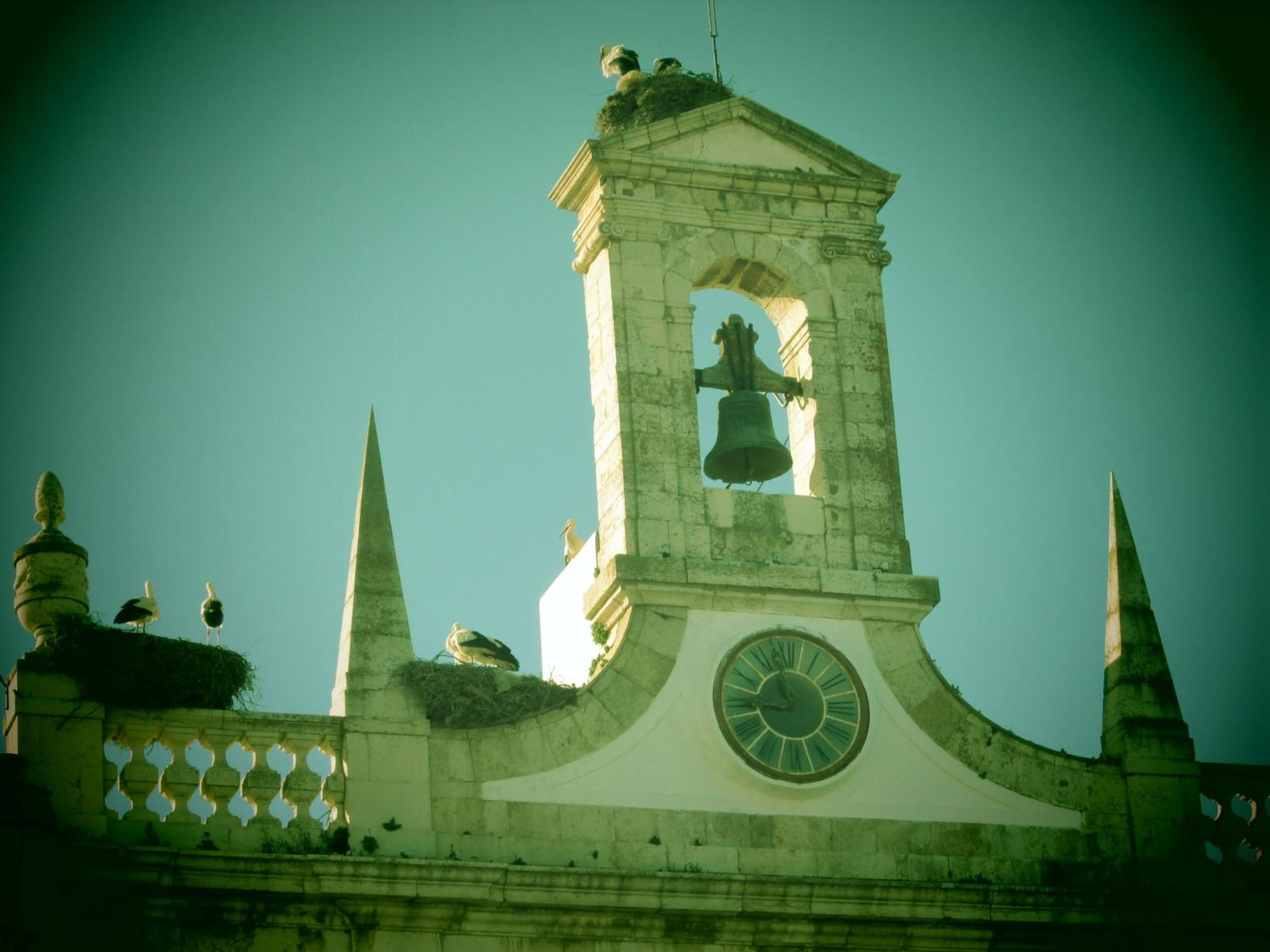 Guest House Capitao Mor