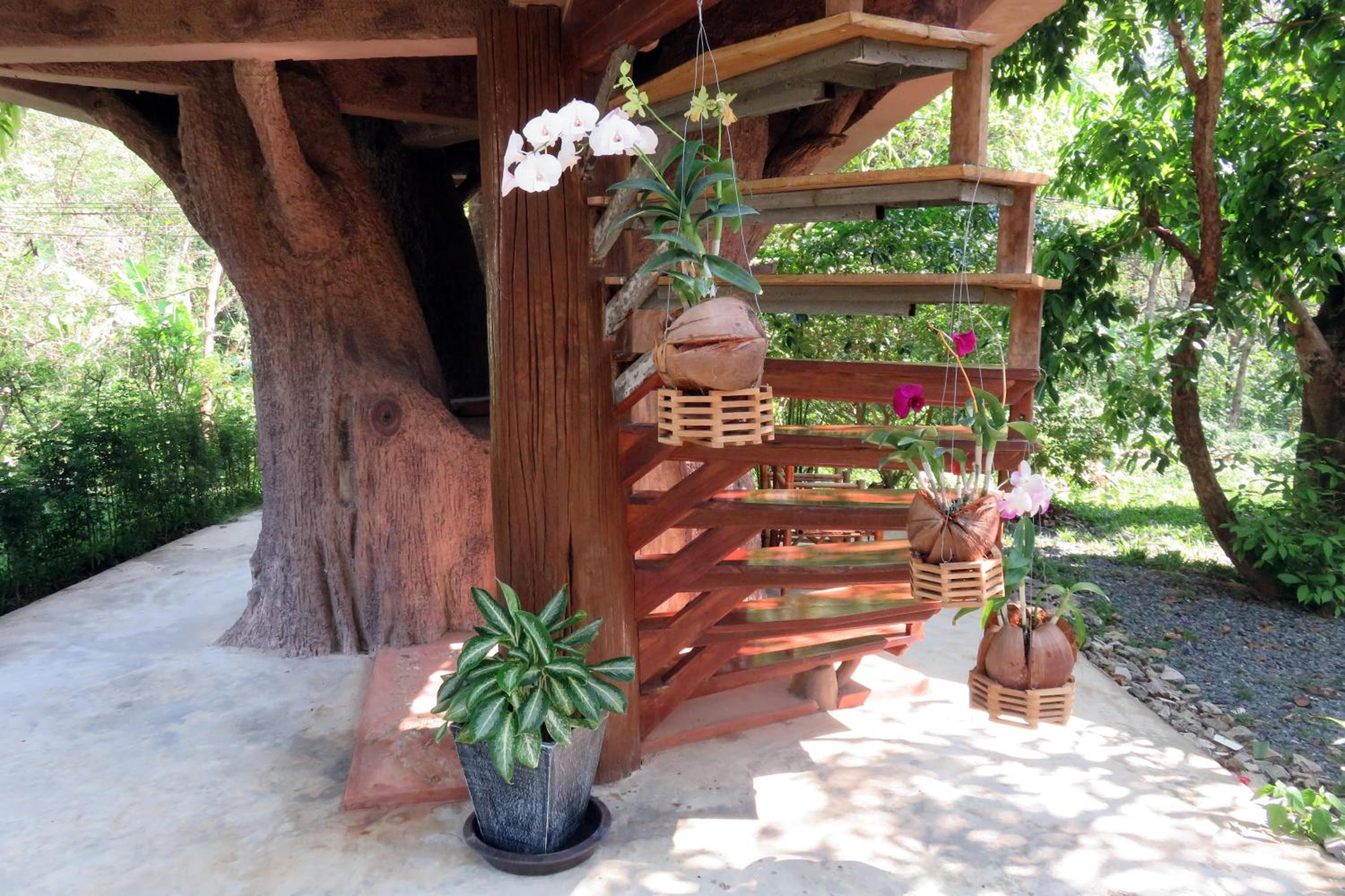 Macura Resort
