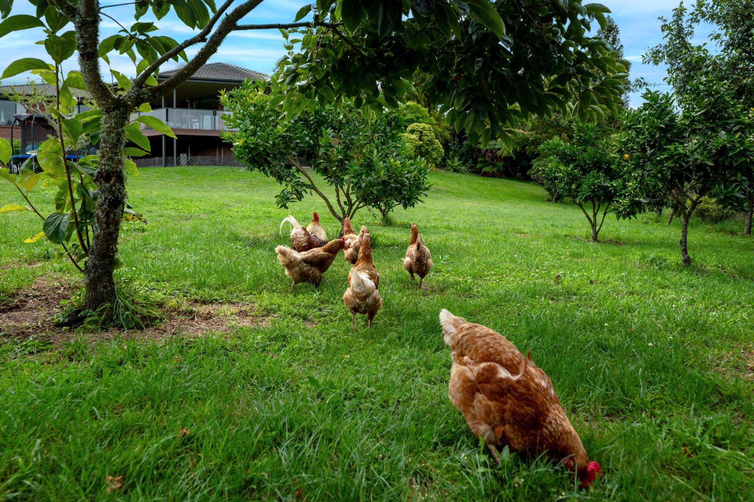 Spacious Rotorua Family Retreat with Huge Garden - Up to 11 Guests