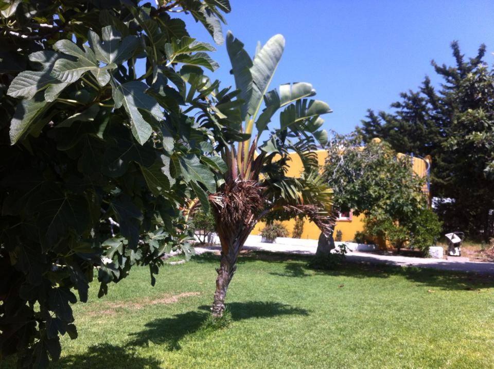 Photo 27