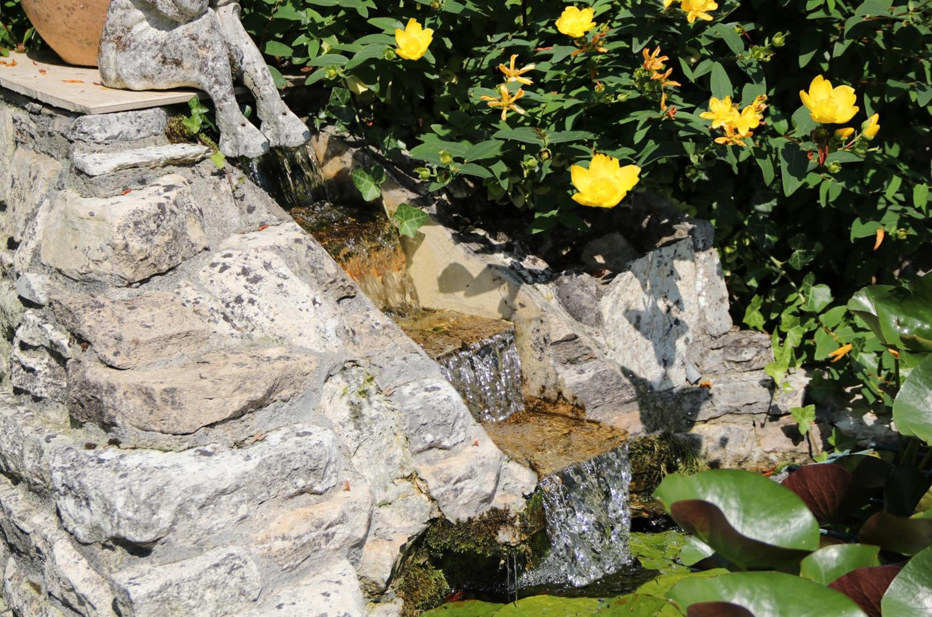 Villa Marguerite, photo 7