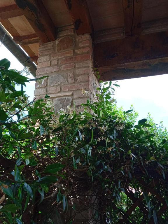 La Casa di Chianni La Pieve 2