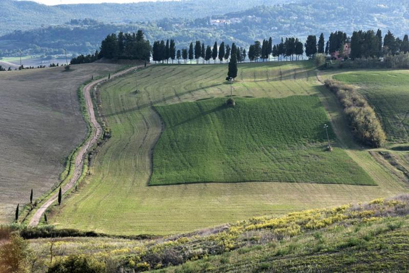 La Casa di Chianni La Pieve 2